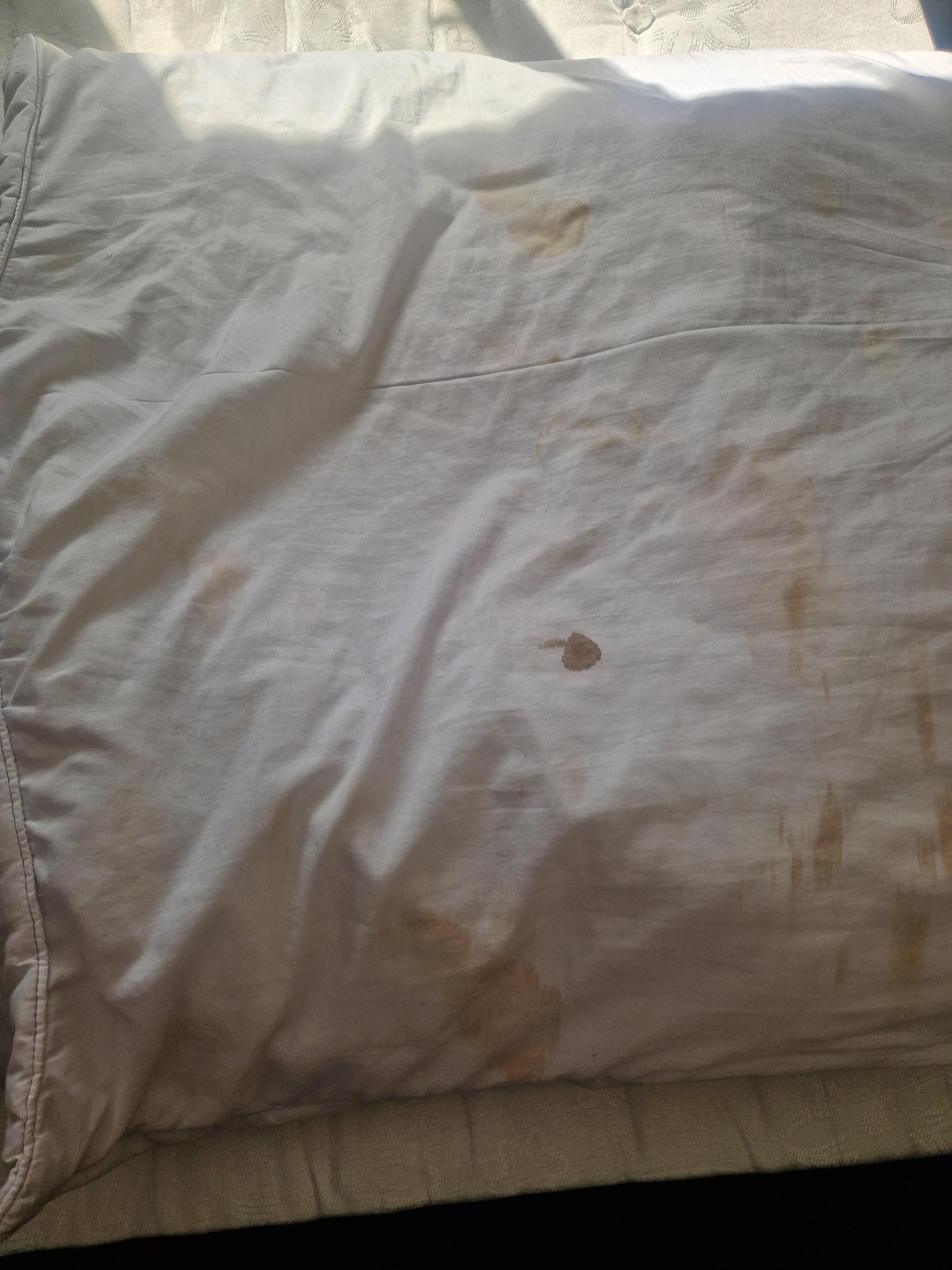 The duvet possible blood and over stains .