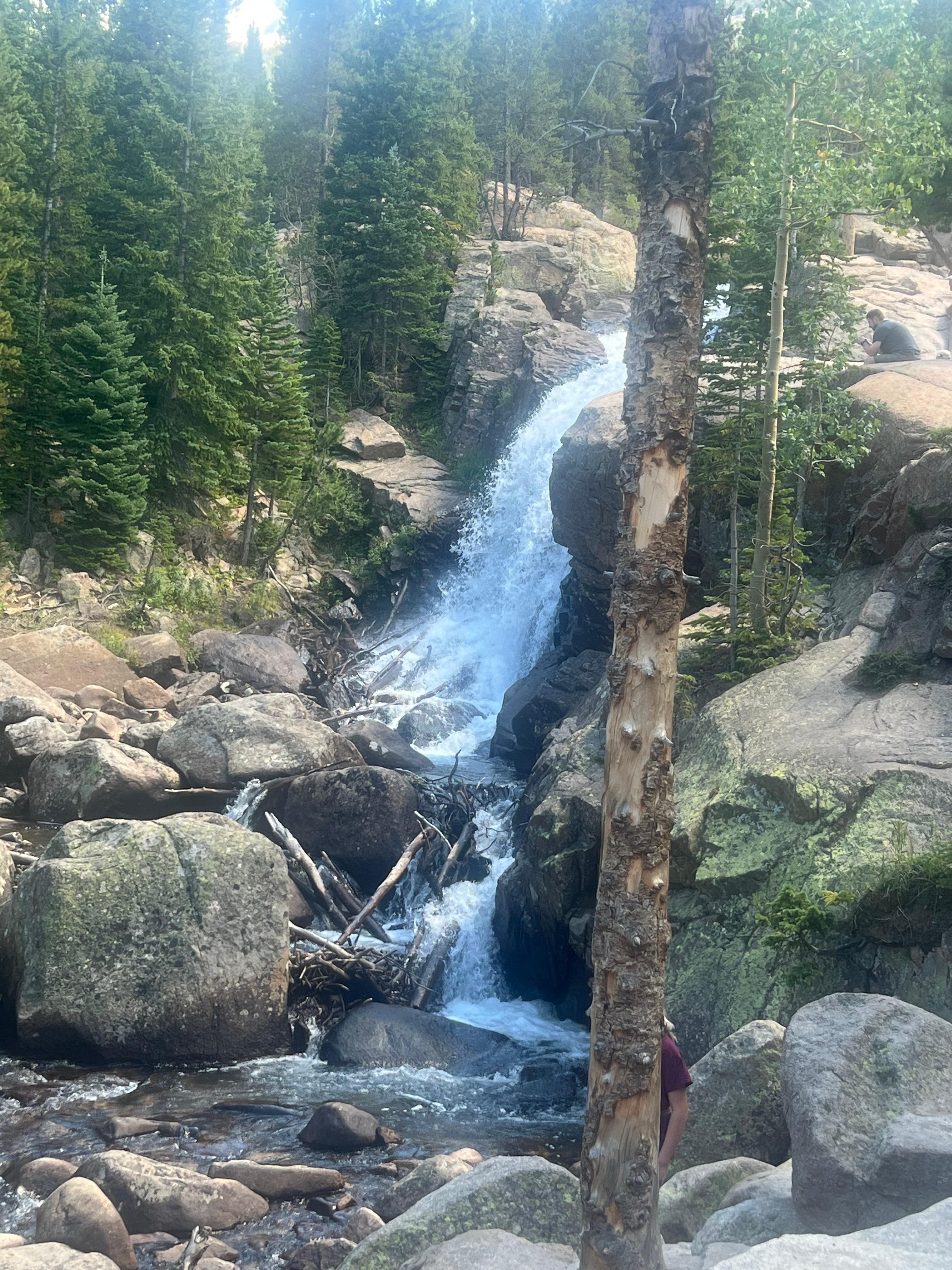 Alberta falls