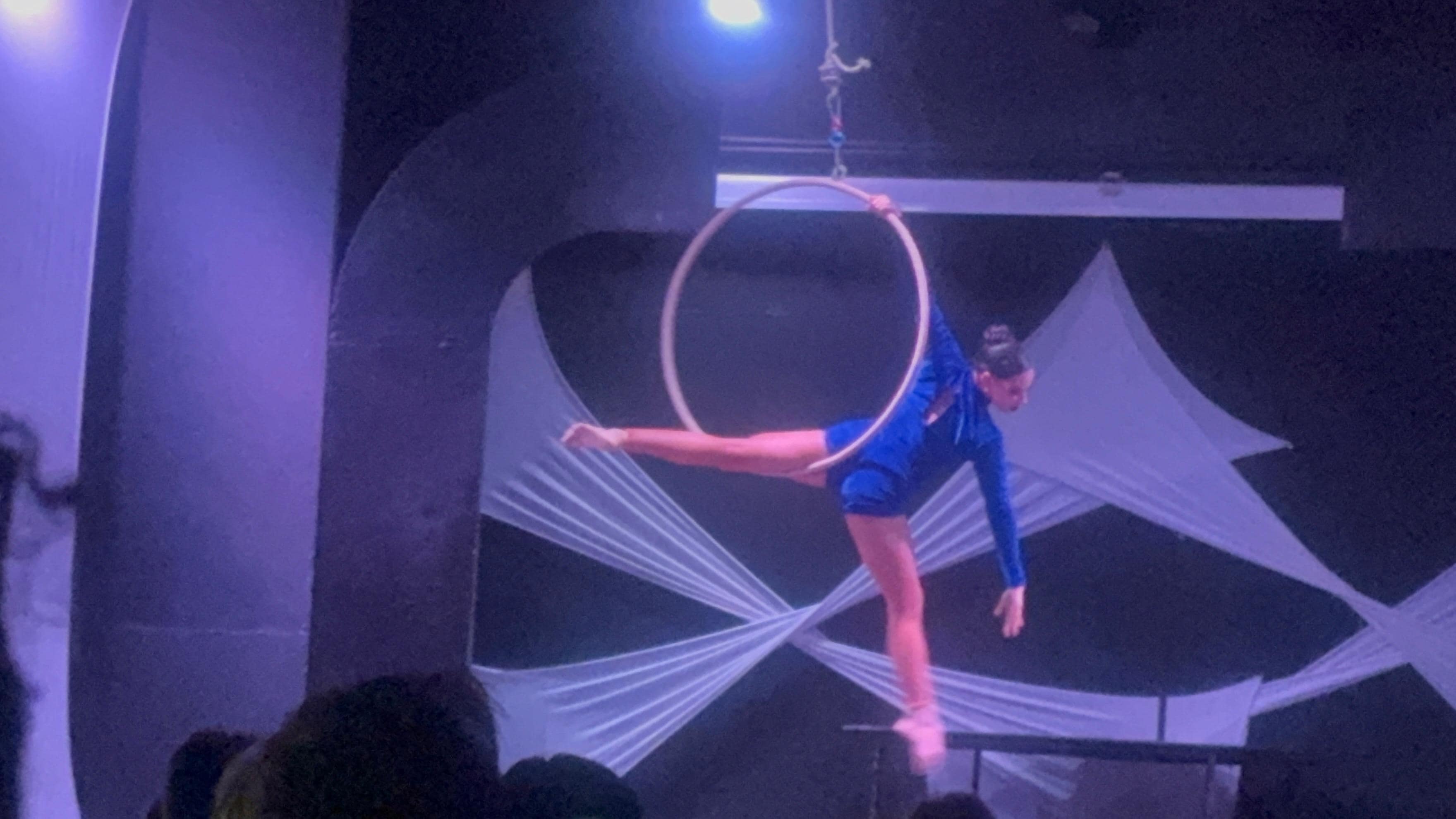 The Show was great. Just wished it represented the culture of the community 