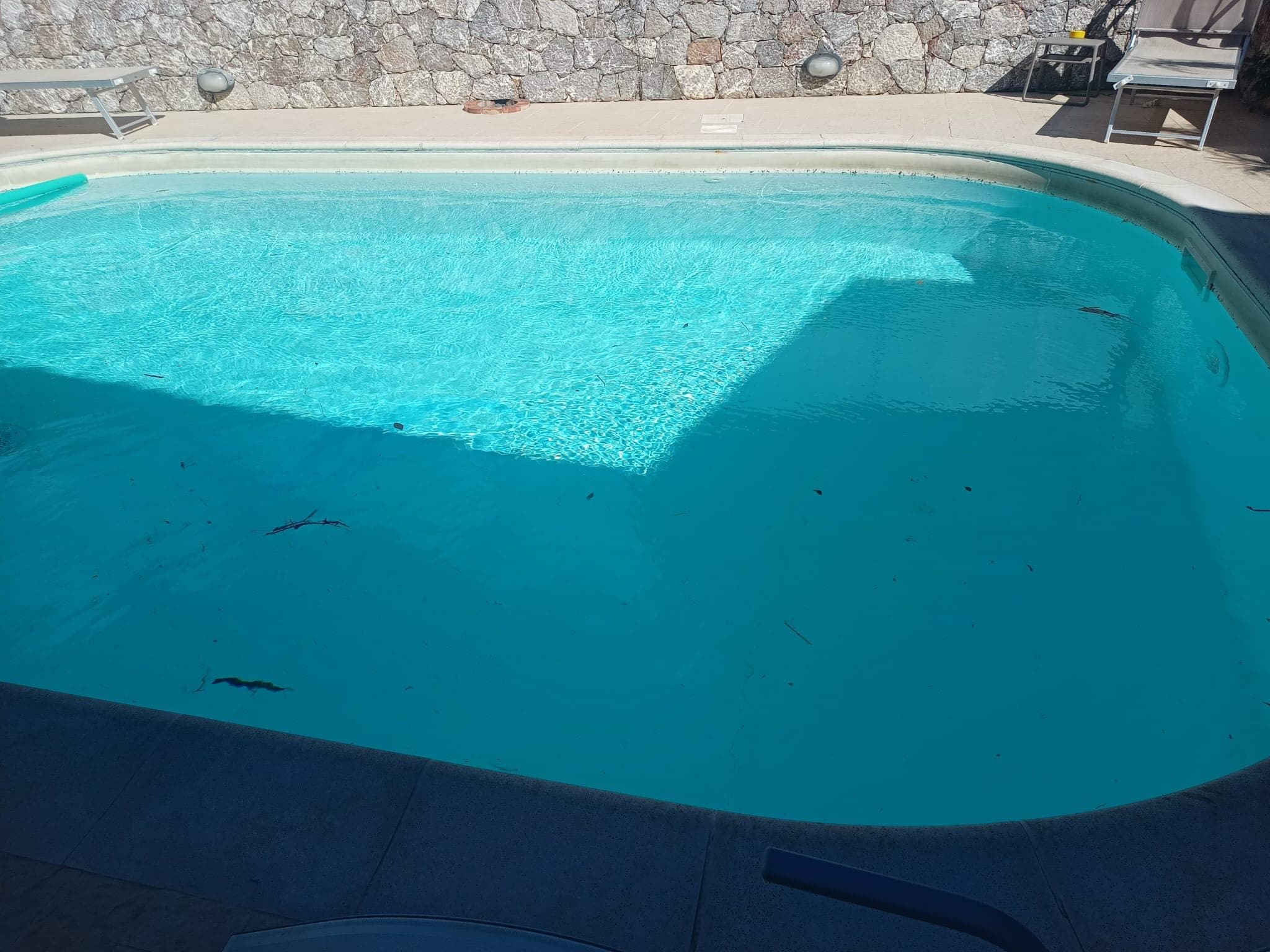 Dirty pool. Never cleaned during stay.