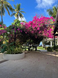 Utsikt fra frokost bordet
