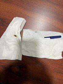 Dead smooched roaches