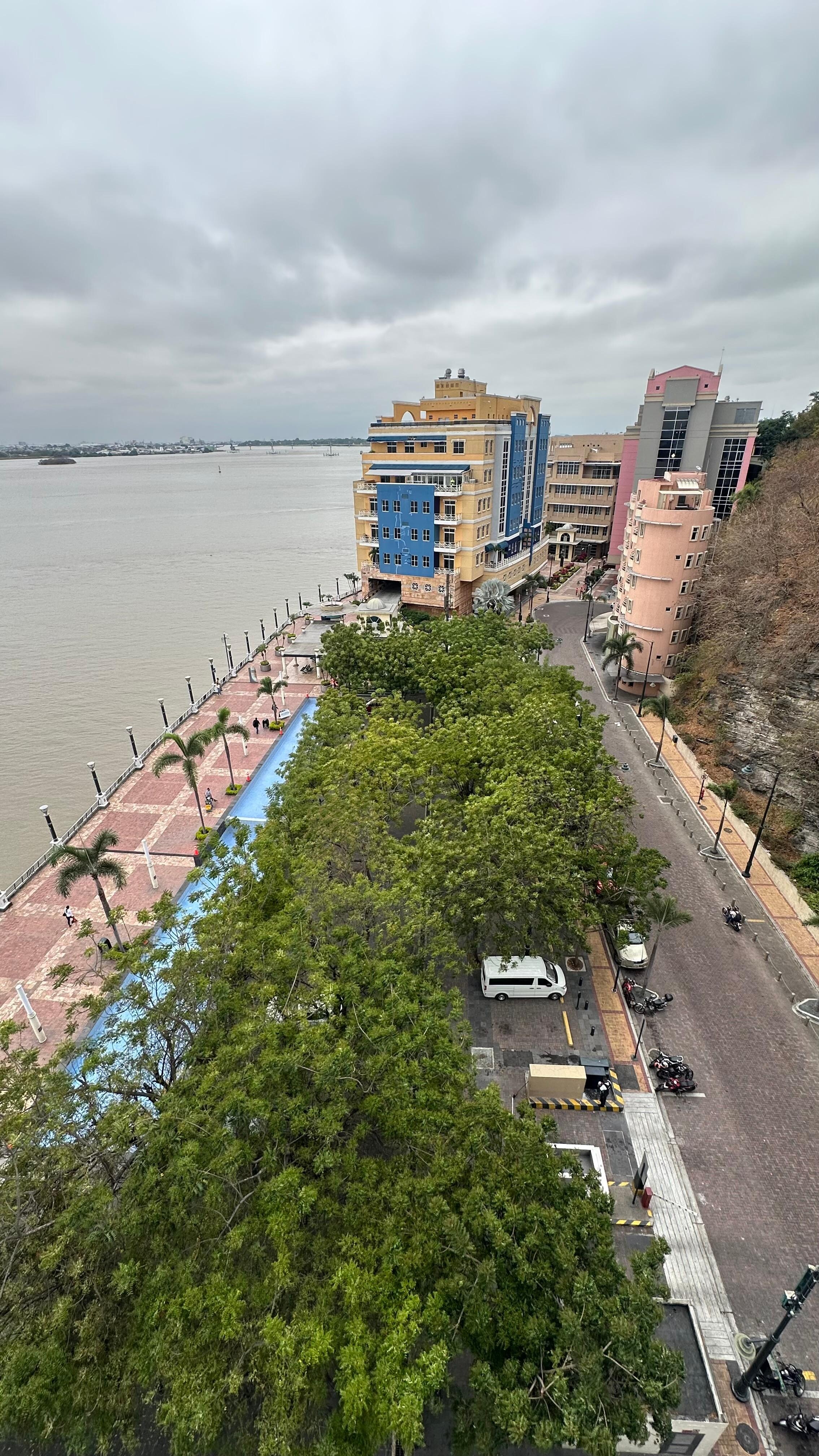 View from living room window.