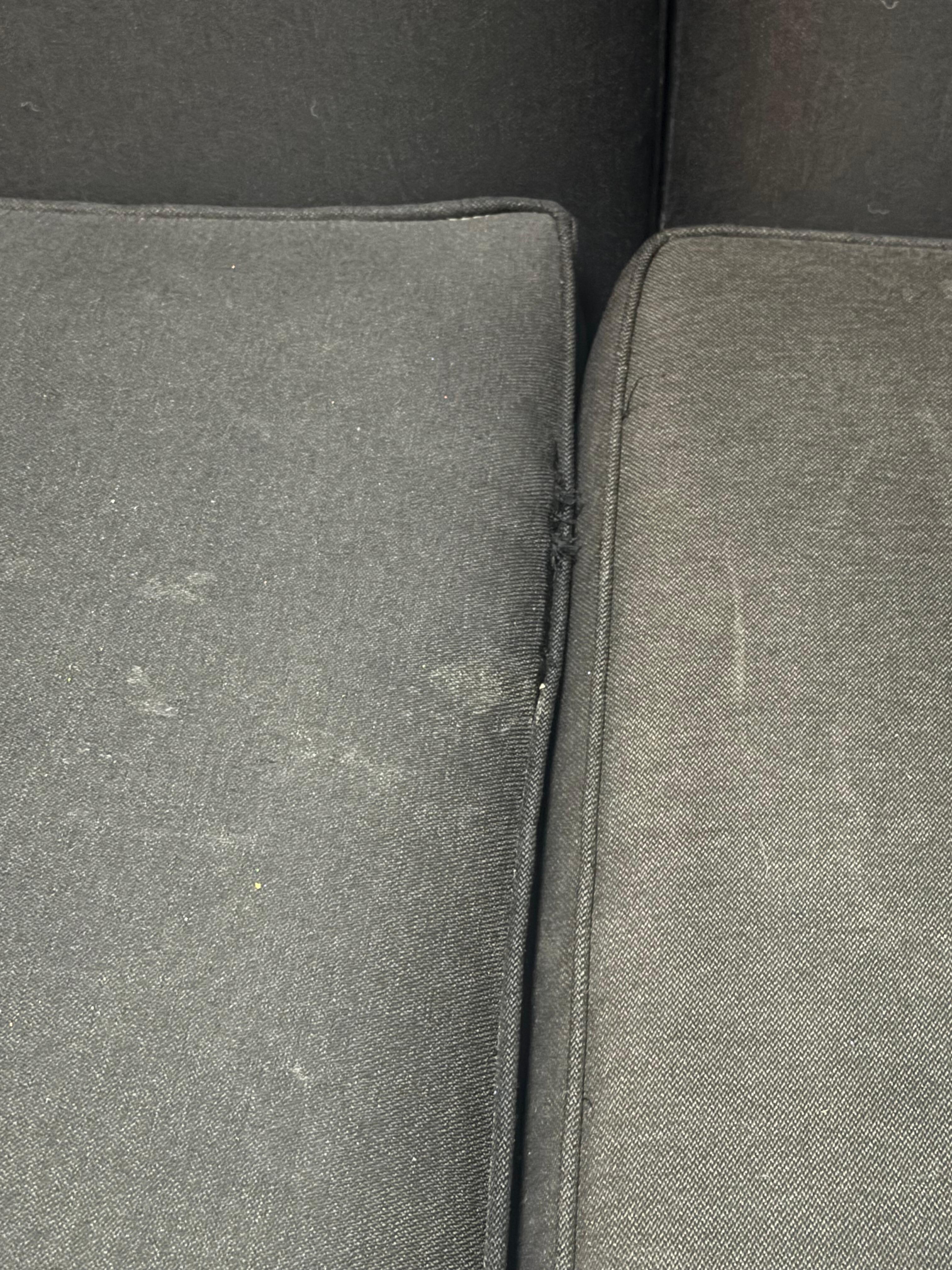 Stains on couches 