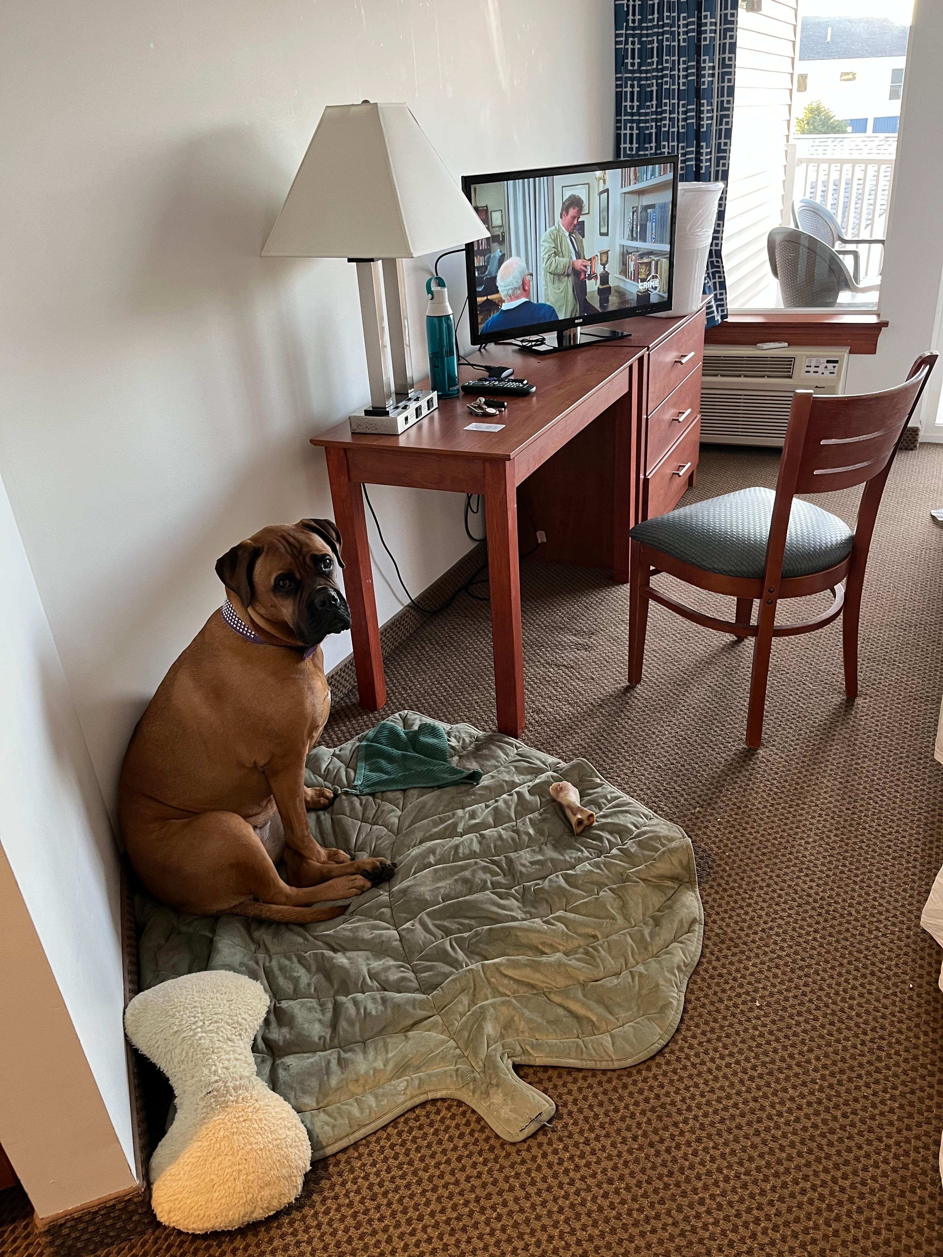 A glimpse of the spaciousness