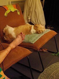Relaxed met dubbele handdoek op zijn eigen plekkie.