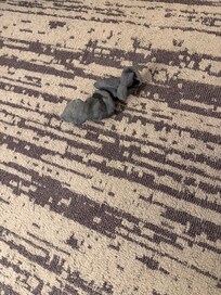 We found socks on the floor when we arrived to the room