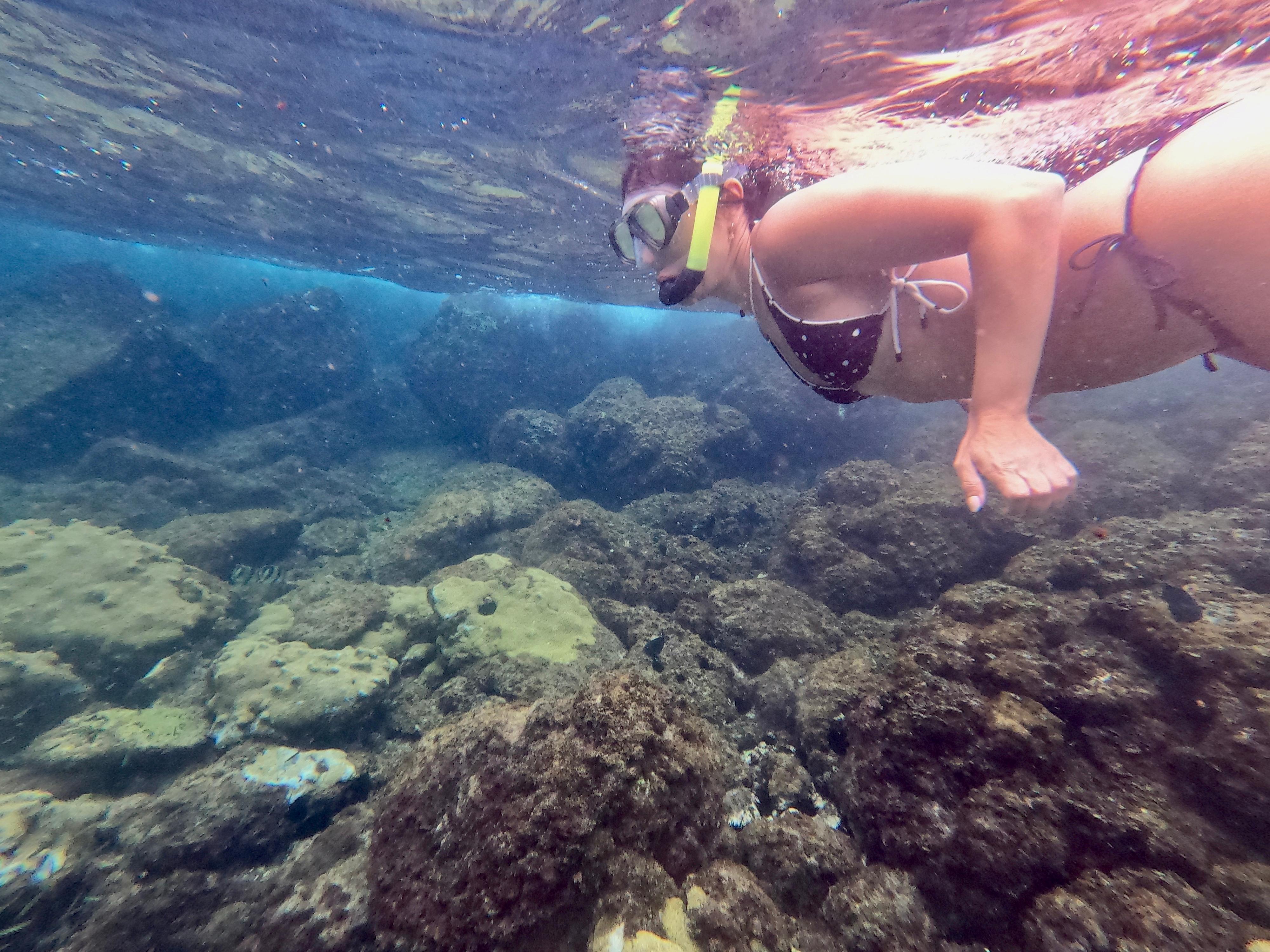 Excelente ponto para mergulho e snorkel 