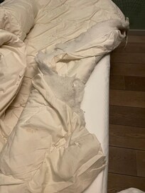 Couette déchirée et tachée