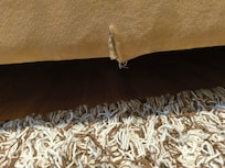 La madera de la base de cama rota, incluso el tapiz estaba roto.