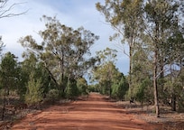 A back road of Grong Grong, with lovely red soil. Morning walks were interesting and pleasant. Flocks of galahs were spectacular morning and evening.