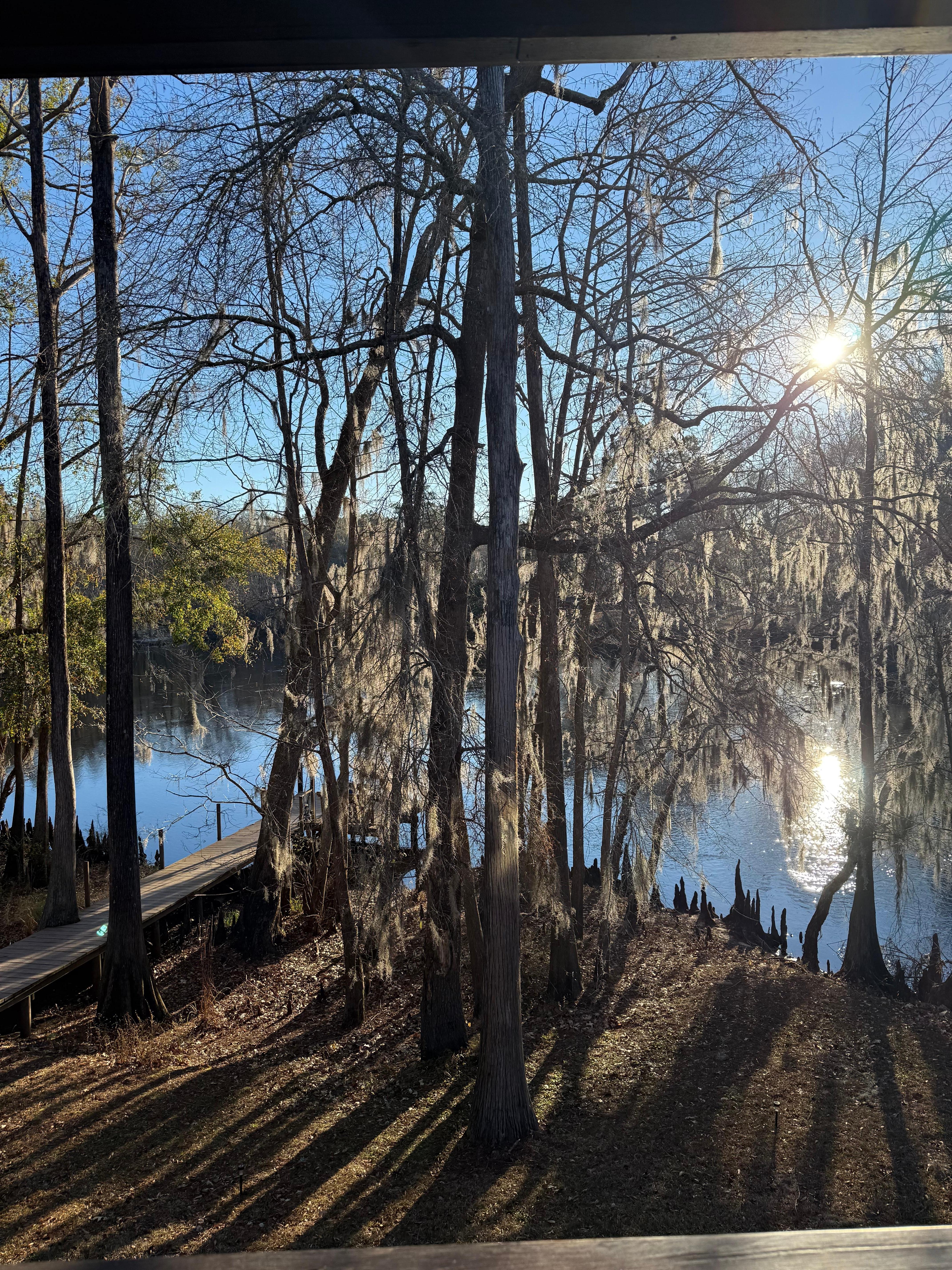 View from kitchen window. 