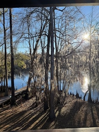 View from kitchen window.