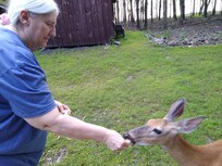 The deer are friendly. They are in the backyard 2 - 3 times a day. We even petted them. It was cool.