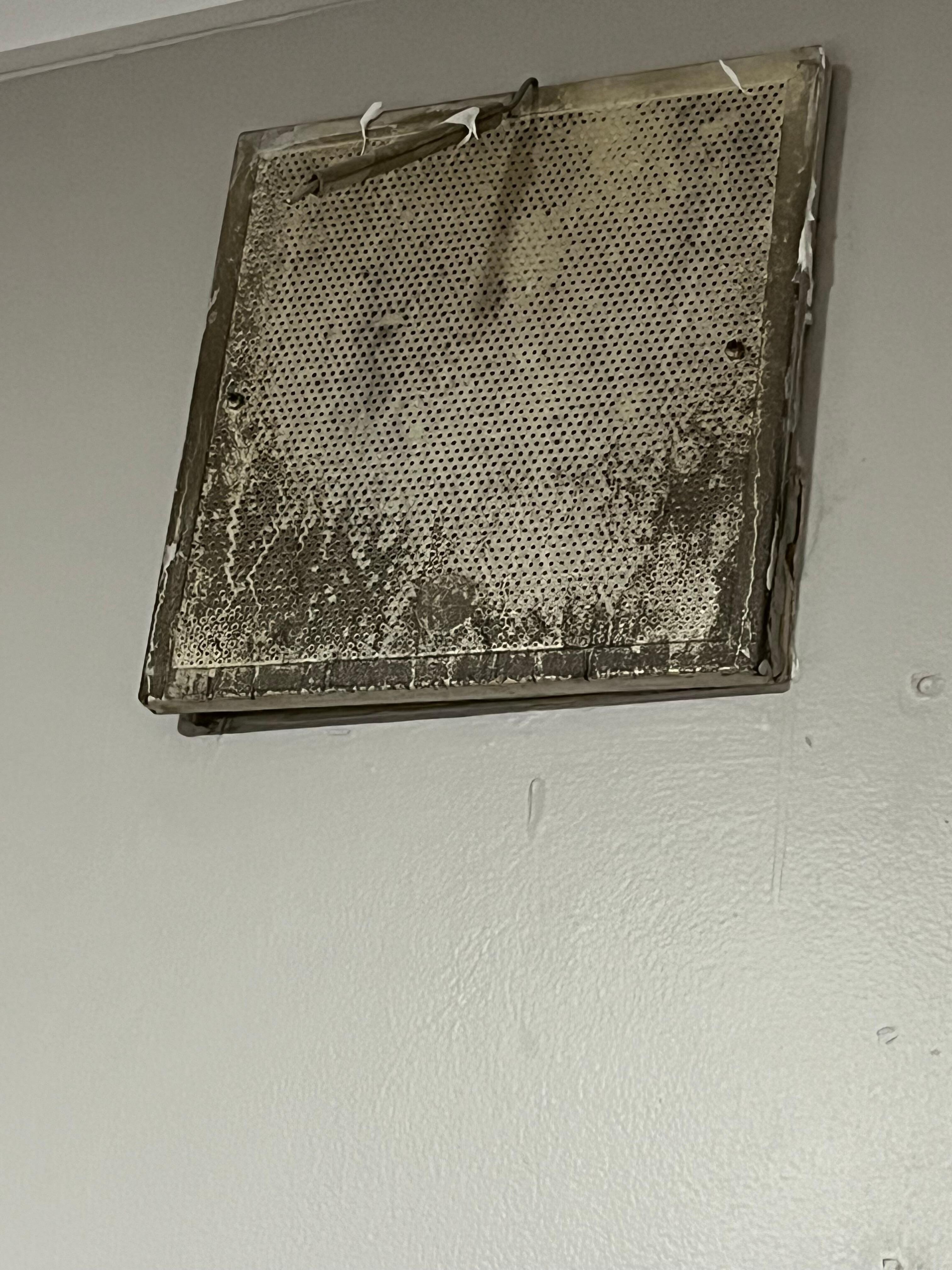 A wall unit- filter? Whatever it is, it’s dirty!