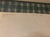 Mold in bathroom