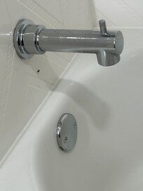 Spider in the bath tub