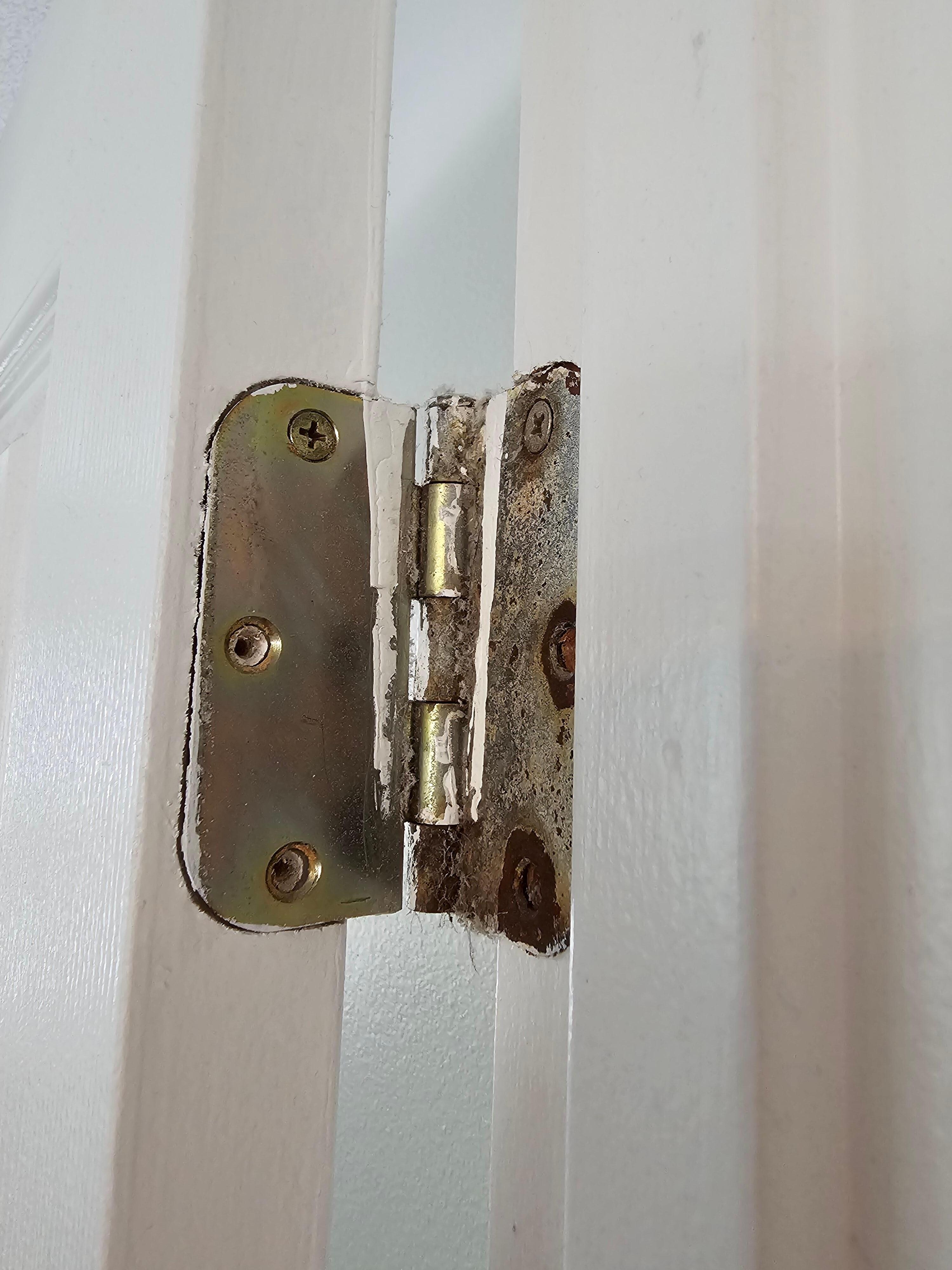 One Hinge on the Bedroom Door; Each Only Had 2 Screws