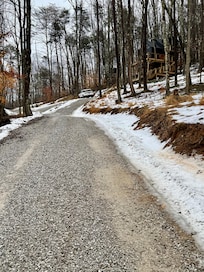 “UP” in the woods