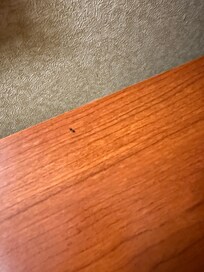 Mouse poop