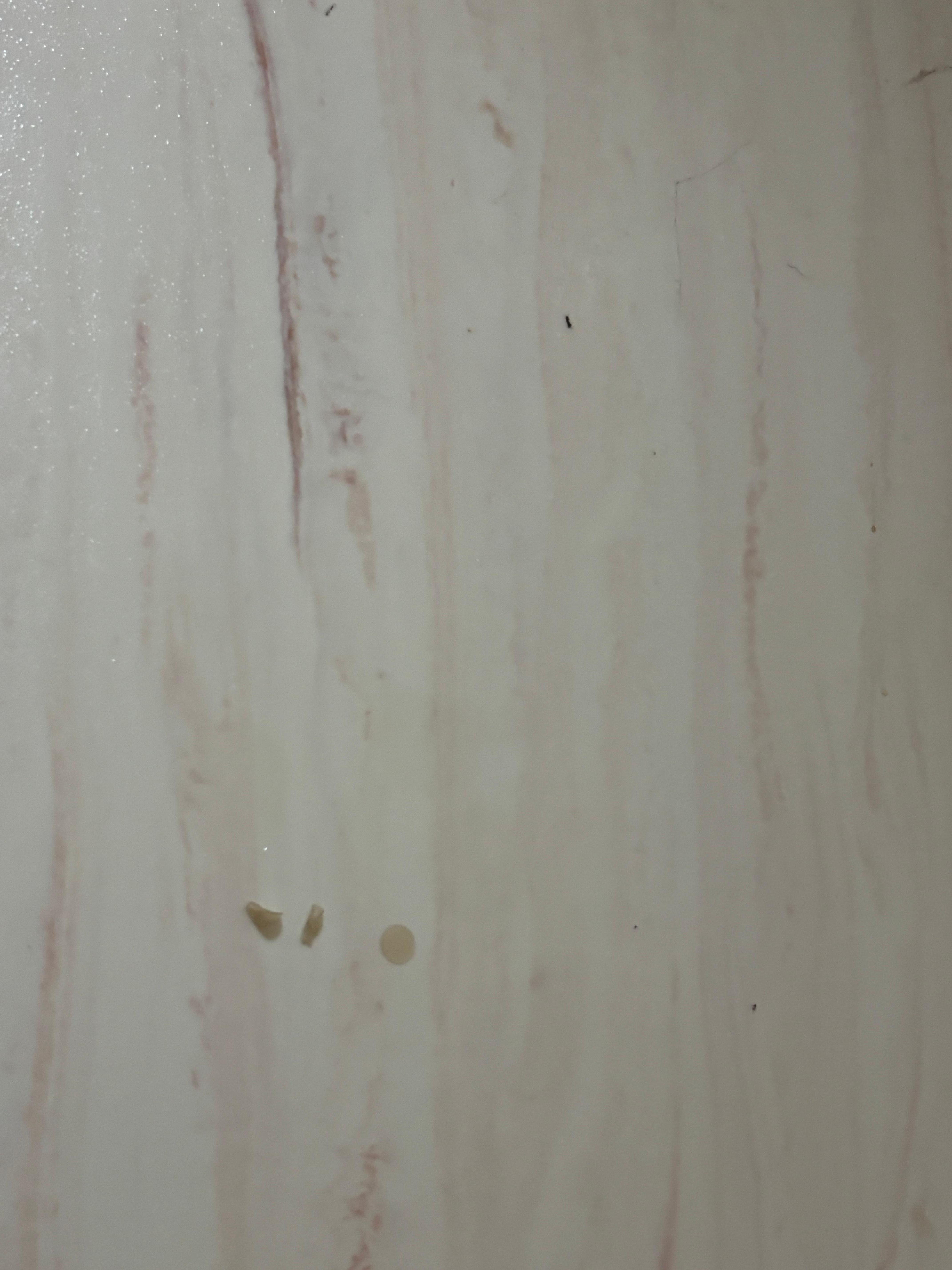 The shower not cleaned with mold and pimples patches stuck on the wall