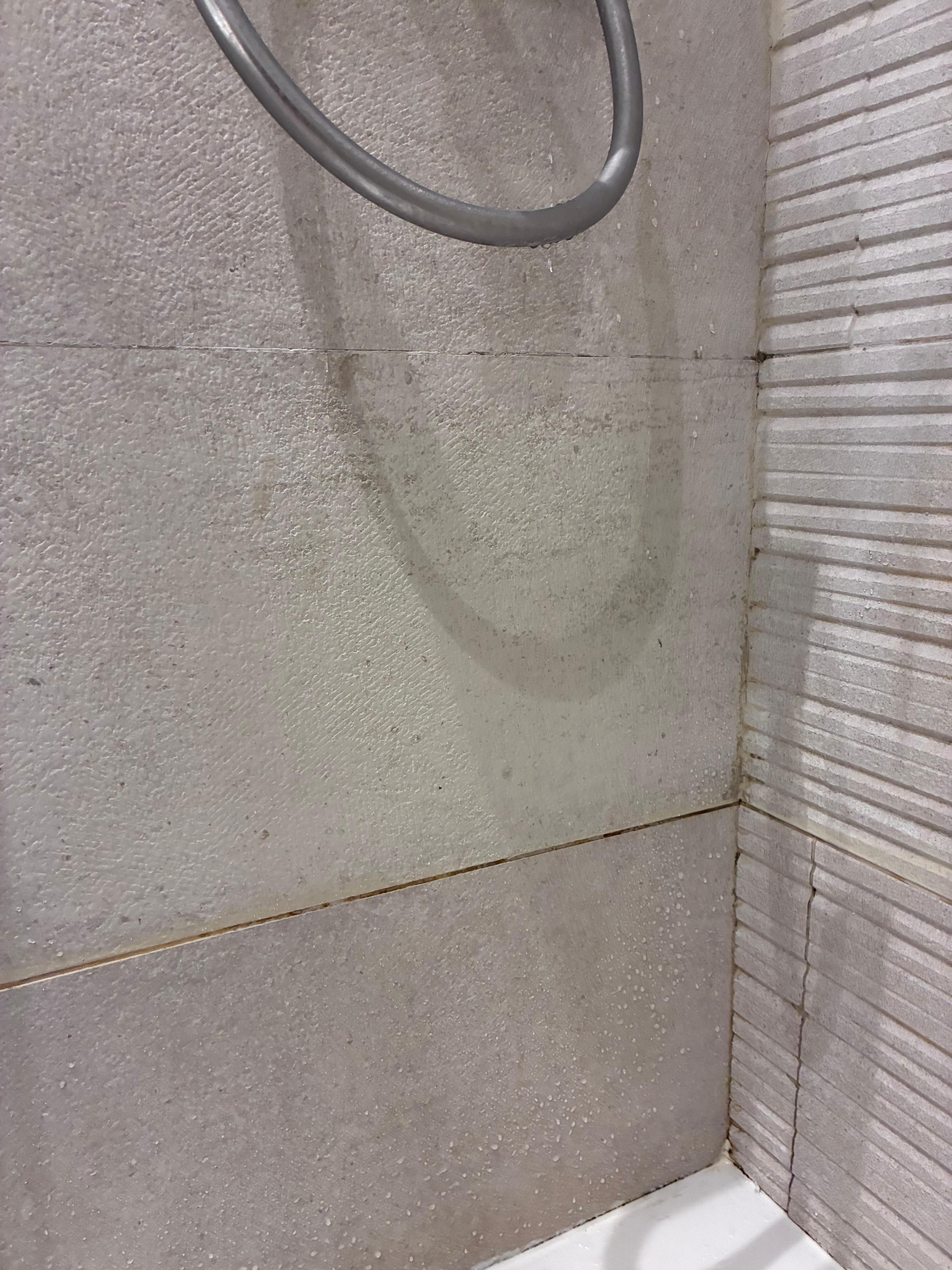 Shower tiles were dirty