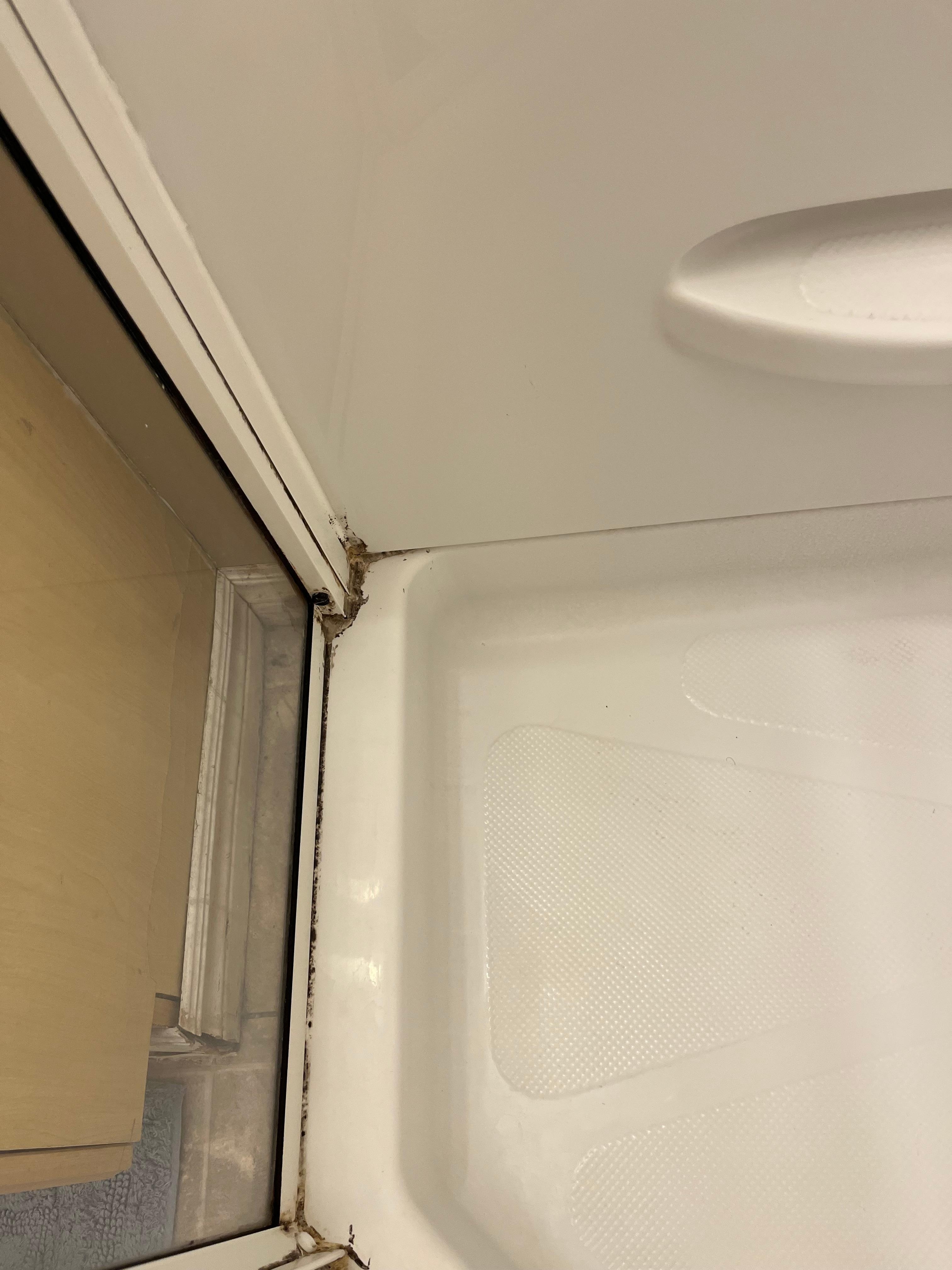 Mould in shower