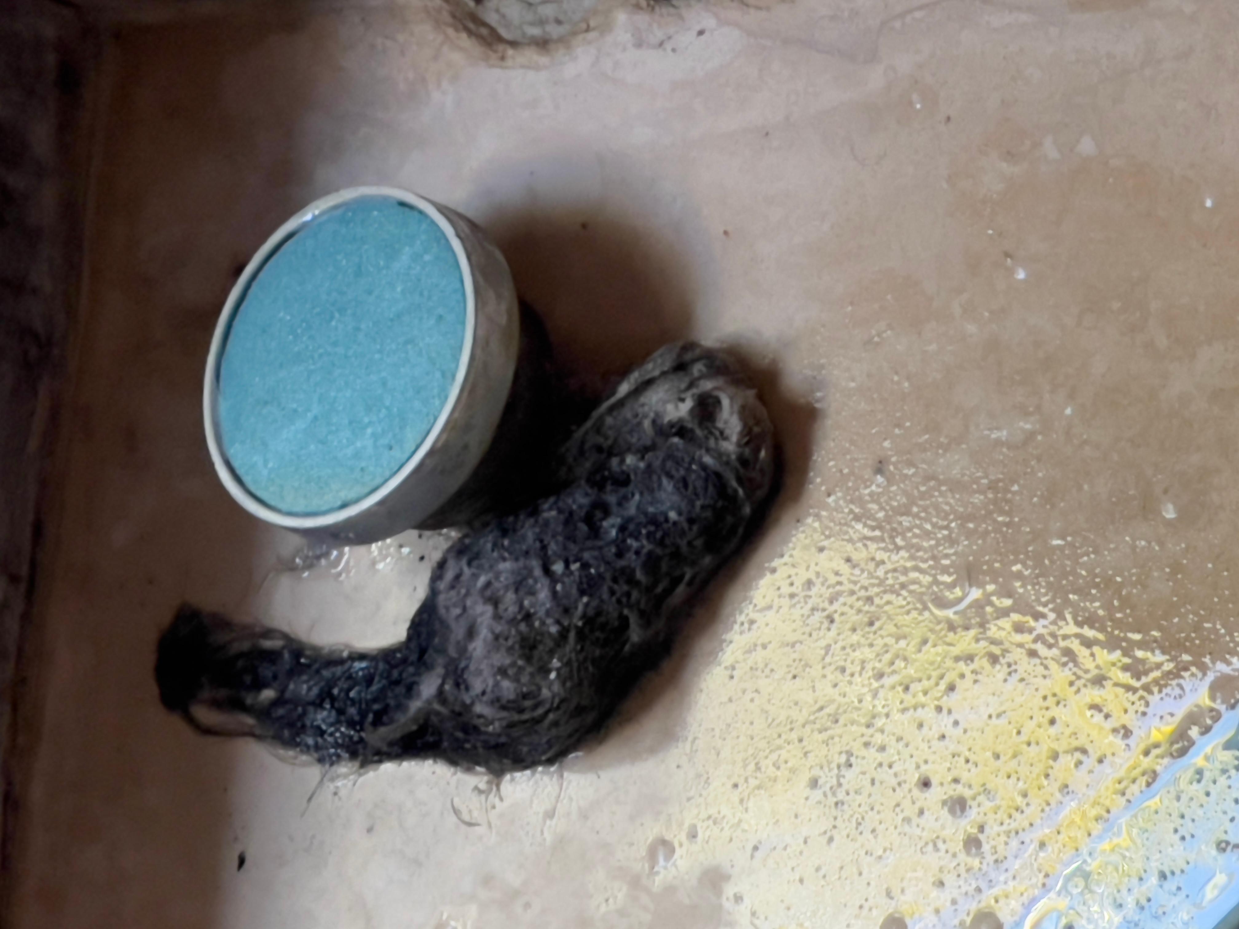 Massive stank hairball pulled from shower drain