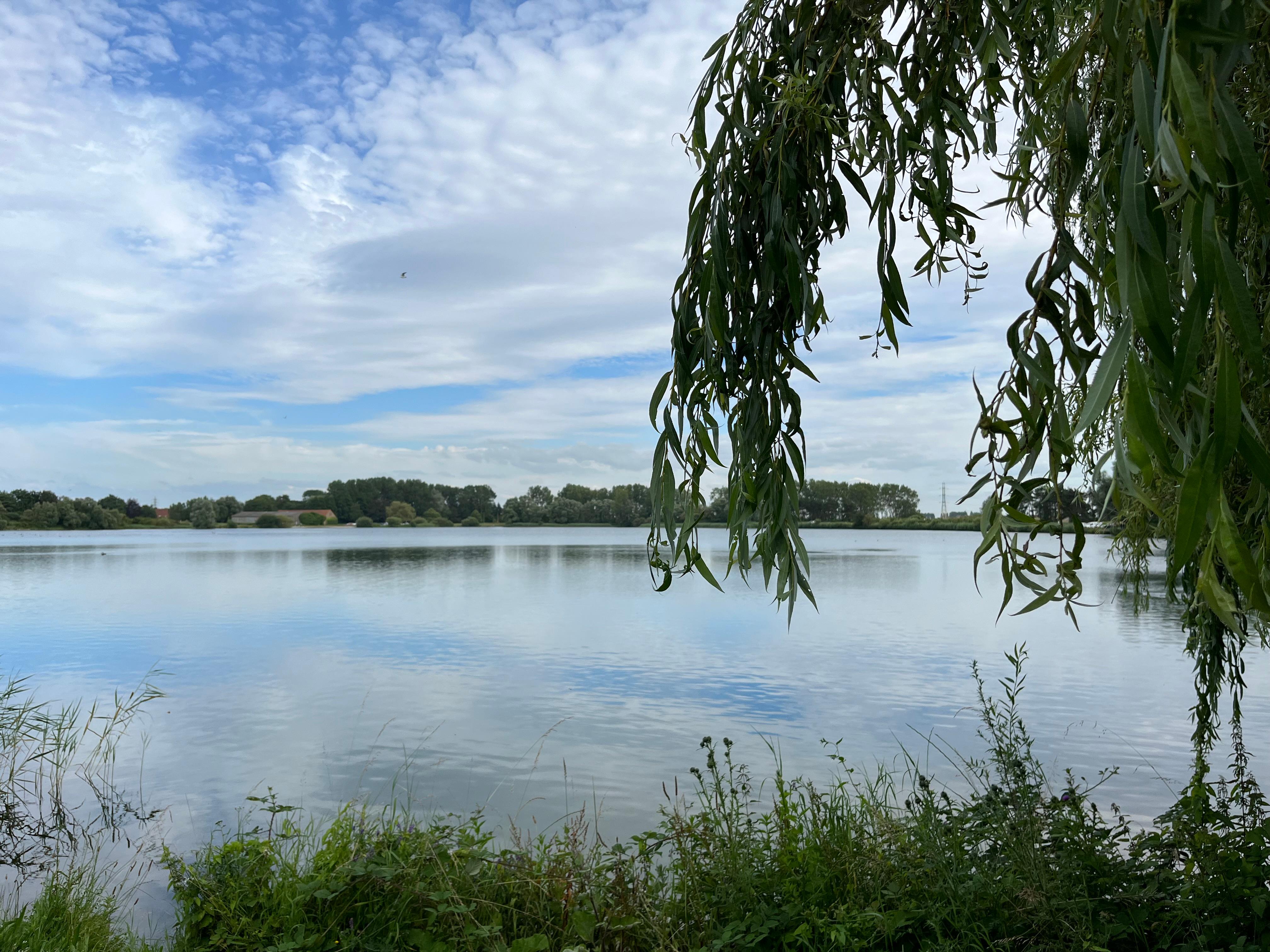 View from the patio