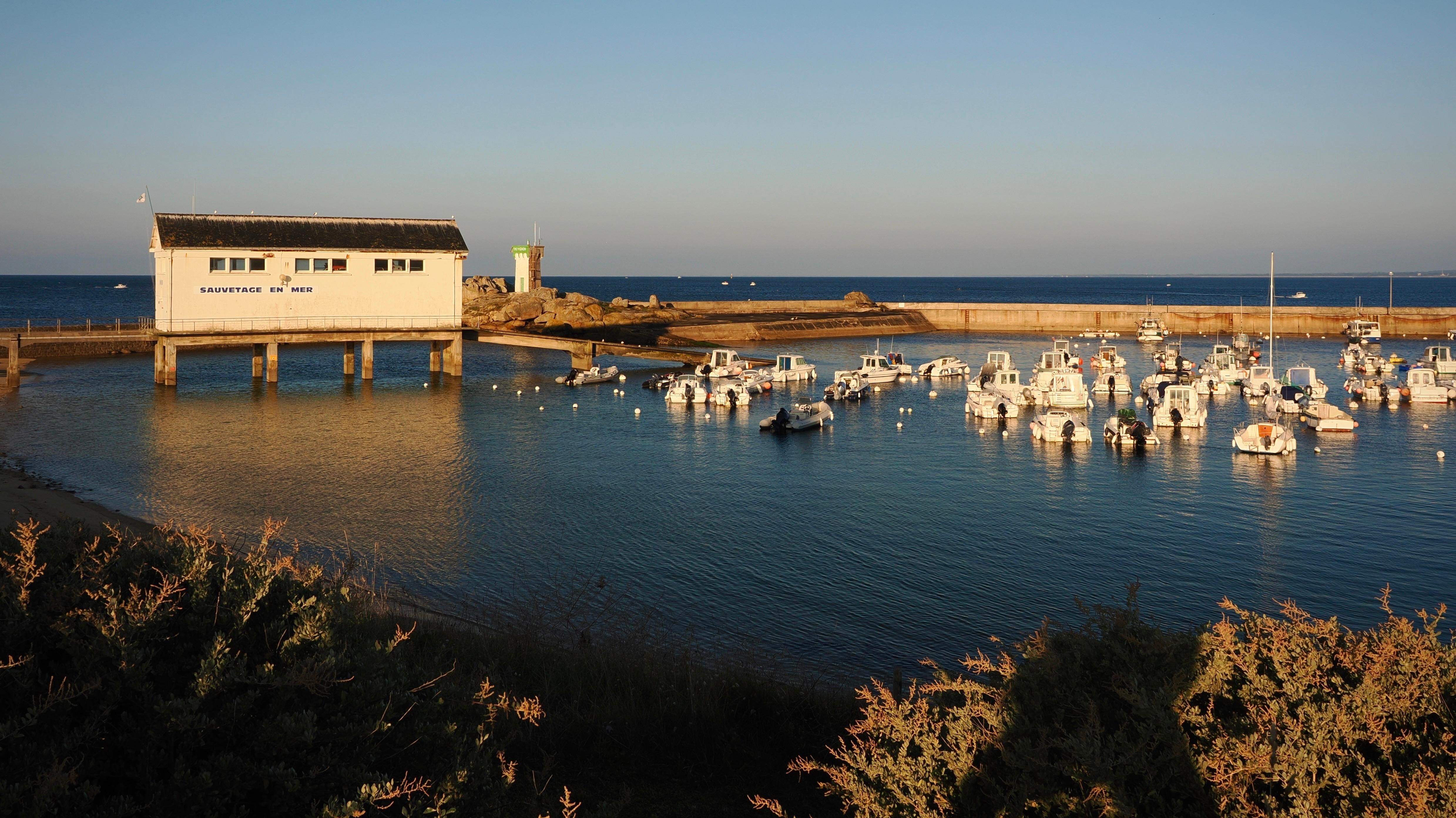 Trevignon harbour