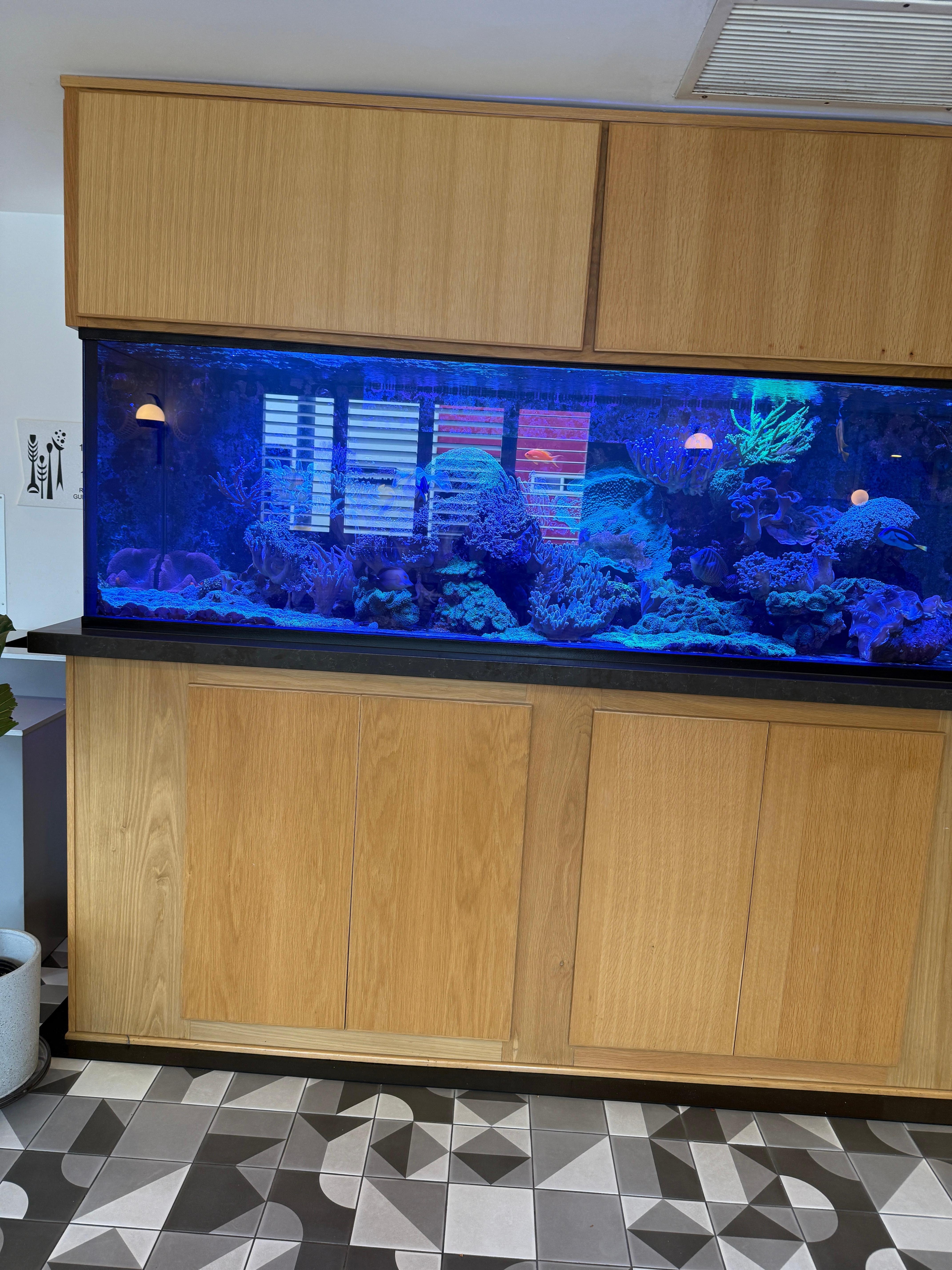 Beautiful fish tank in lobby 