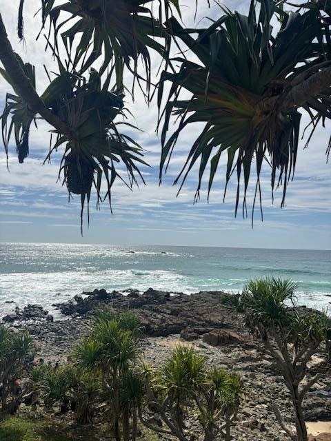 Hastings Point