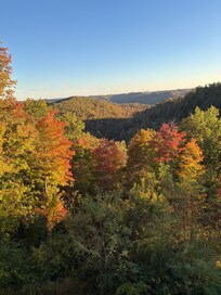 View from cabin