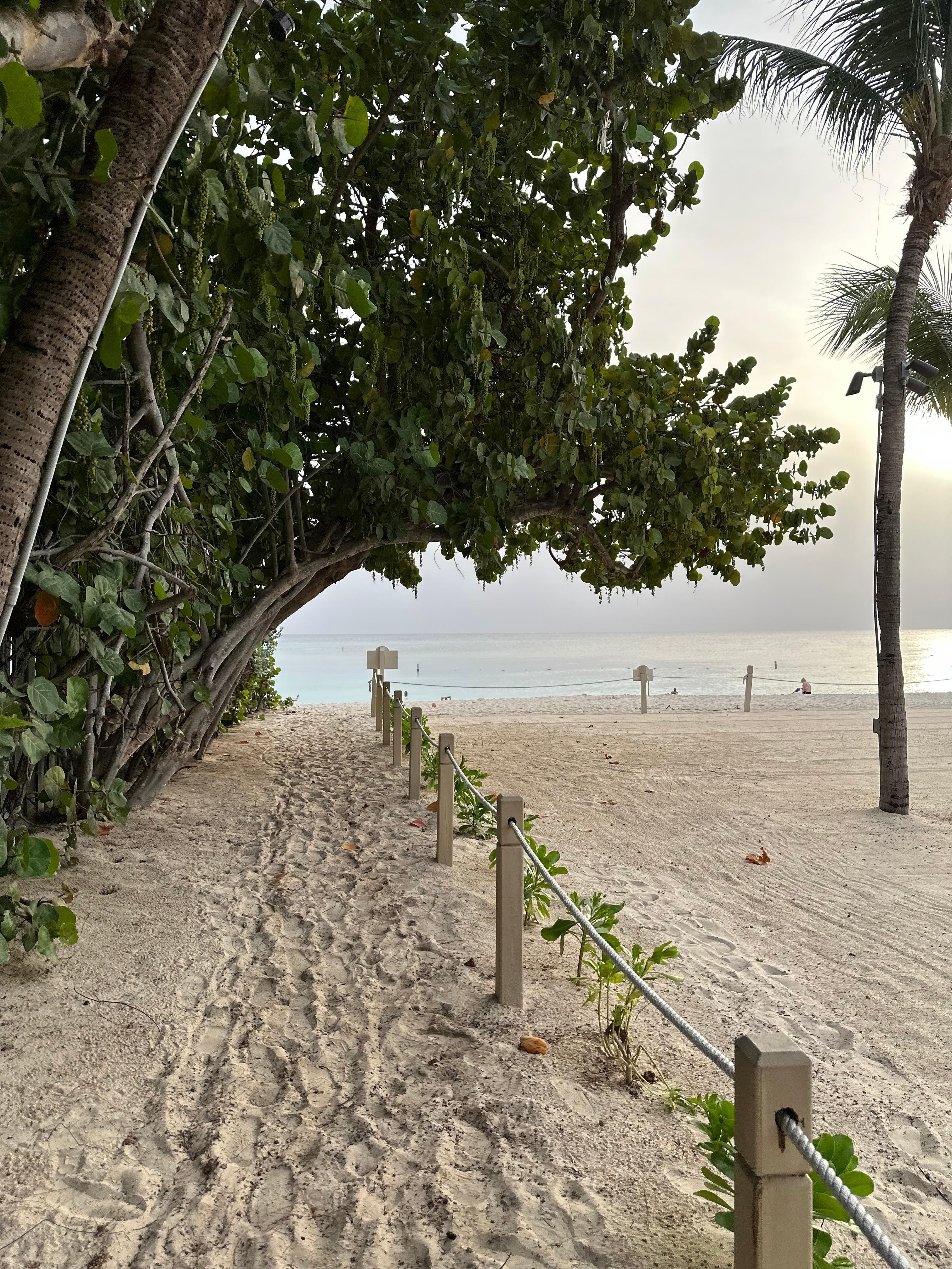 Our walking path