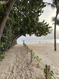 Our walking path