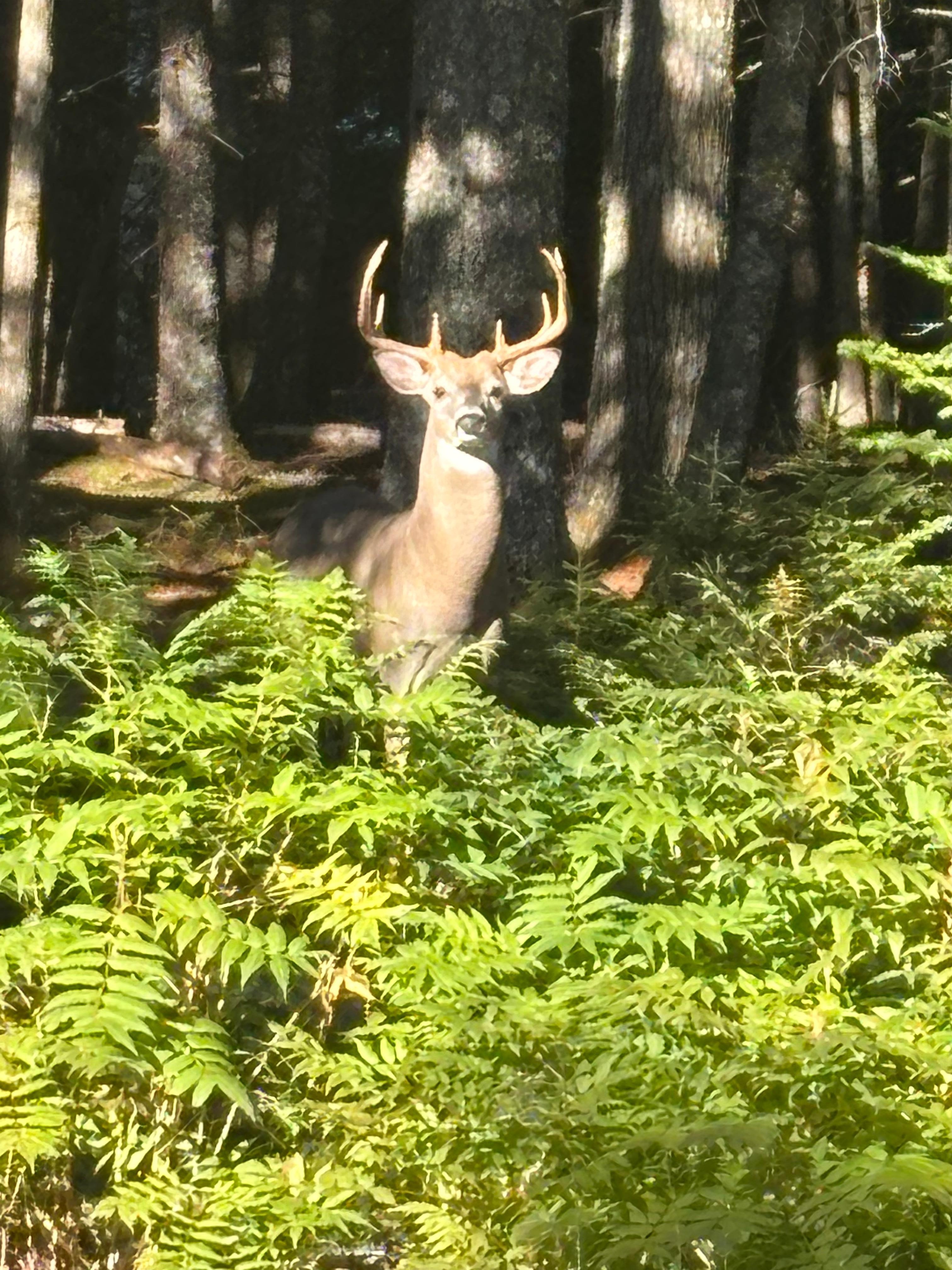 Visited us on our arrival and departure