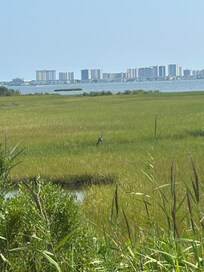 Picturesque Assawoman bay!
