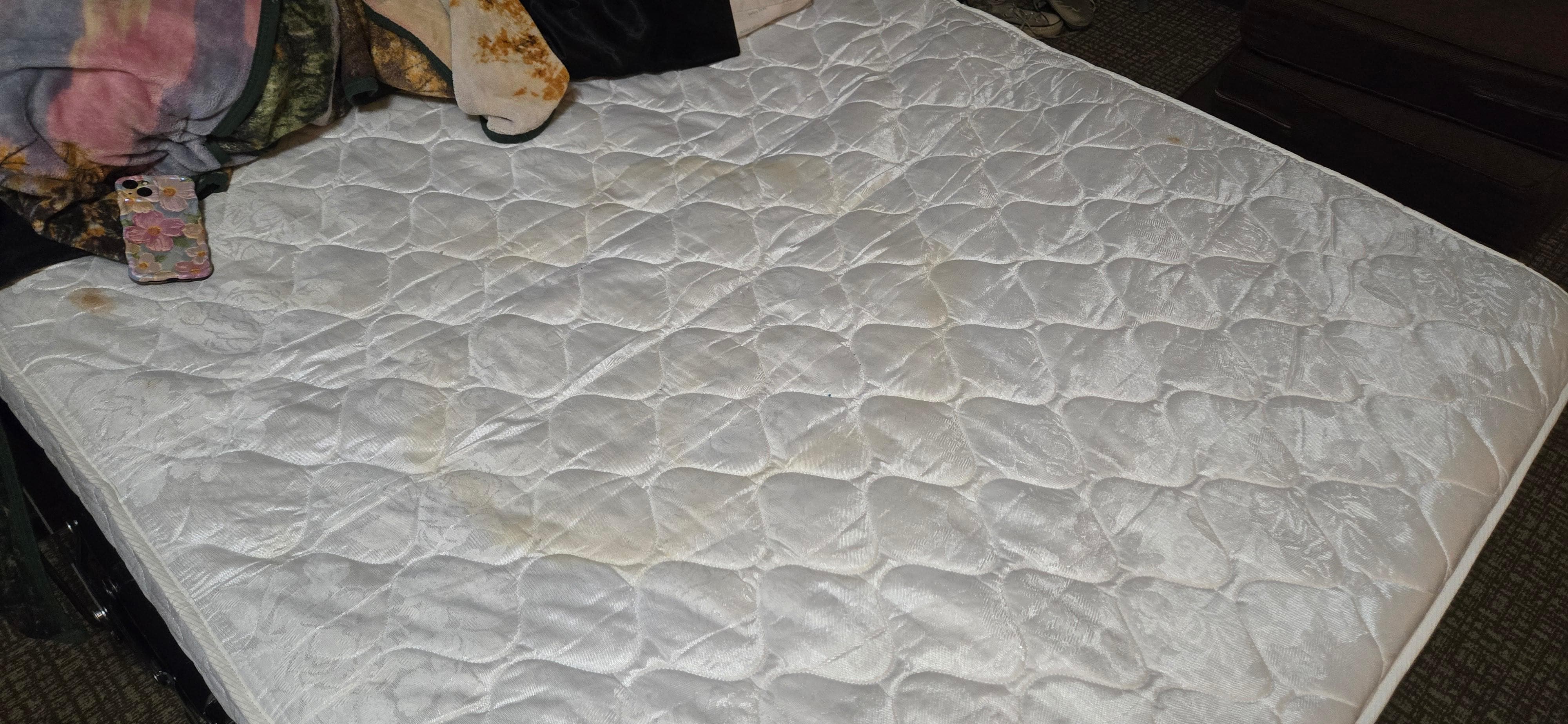 Pee stain on hide a bed