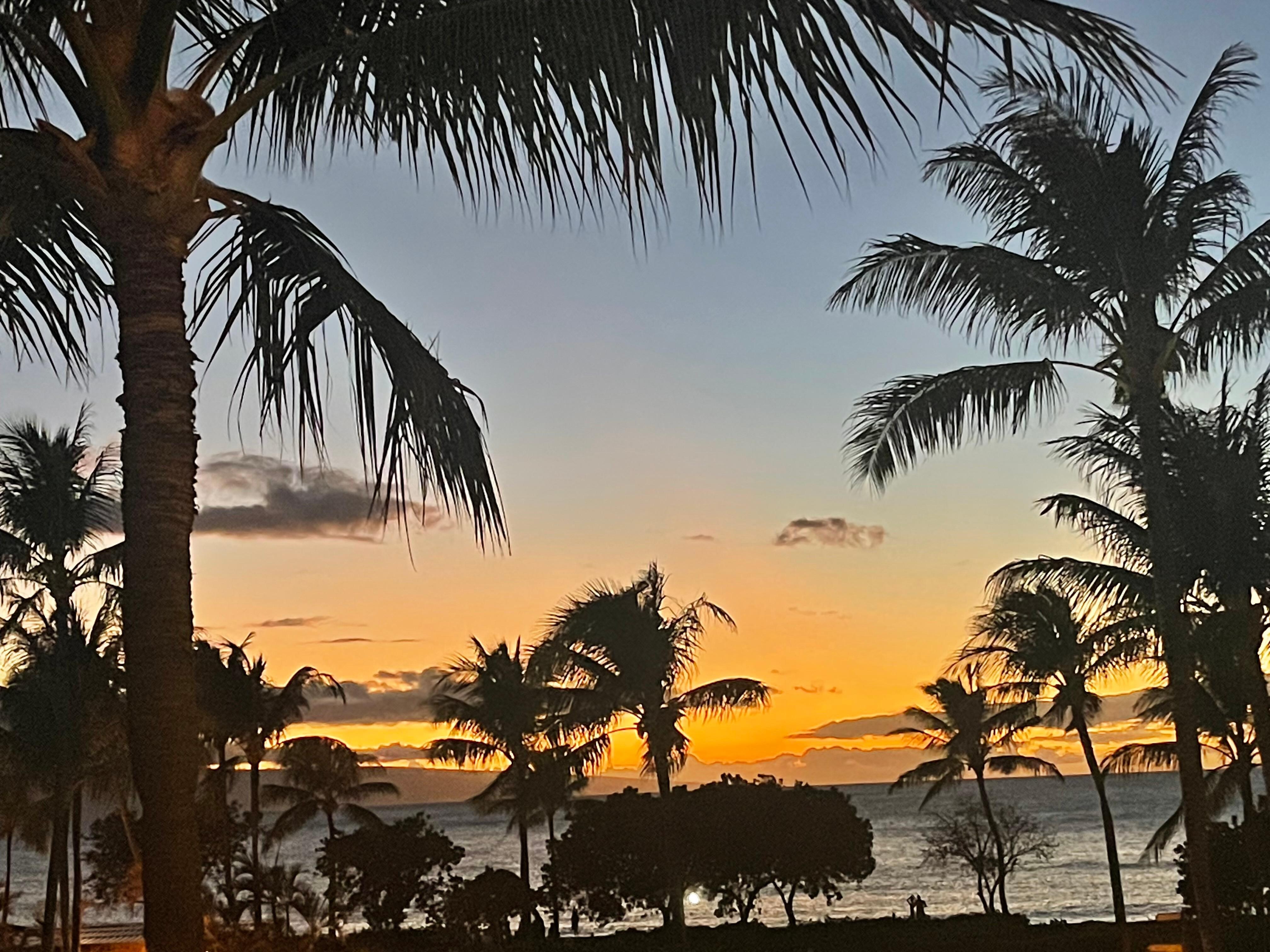 Living the Dream in Maui