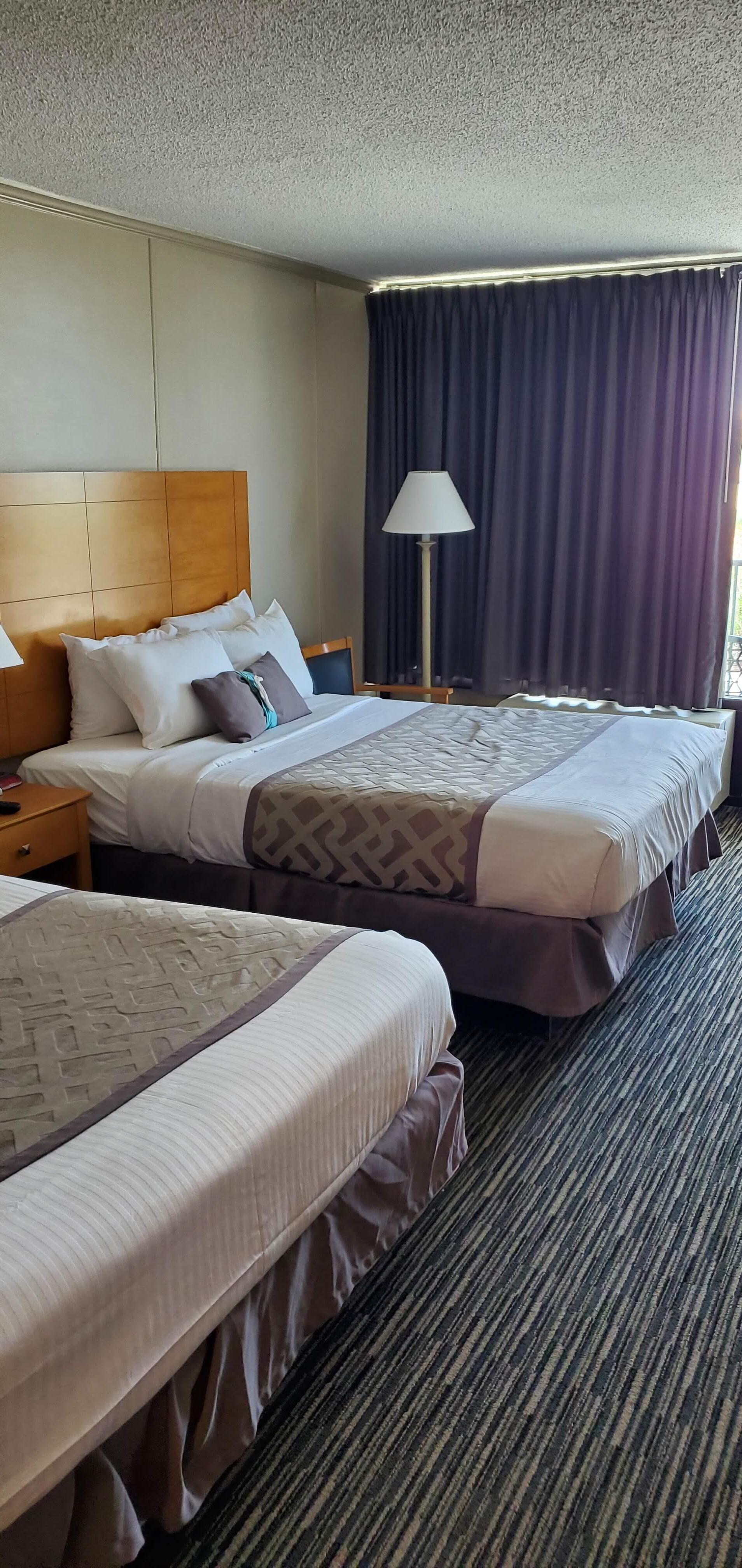 Great looking motel room, I even felt comfortable with letting my feet touch the floor.