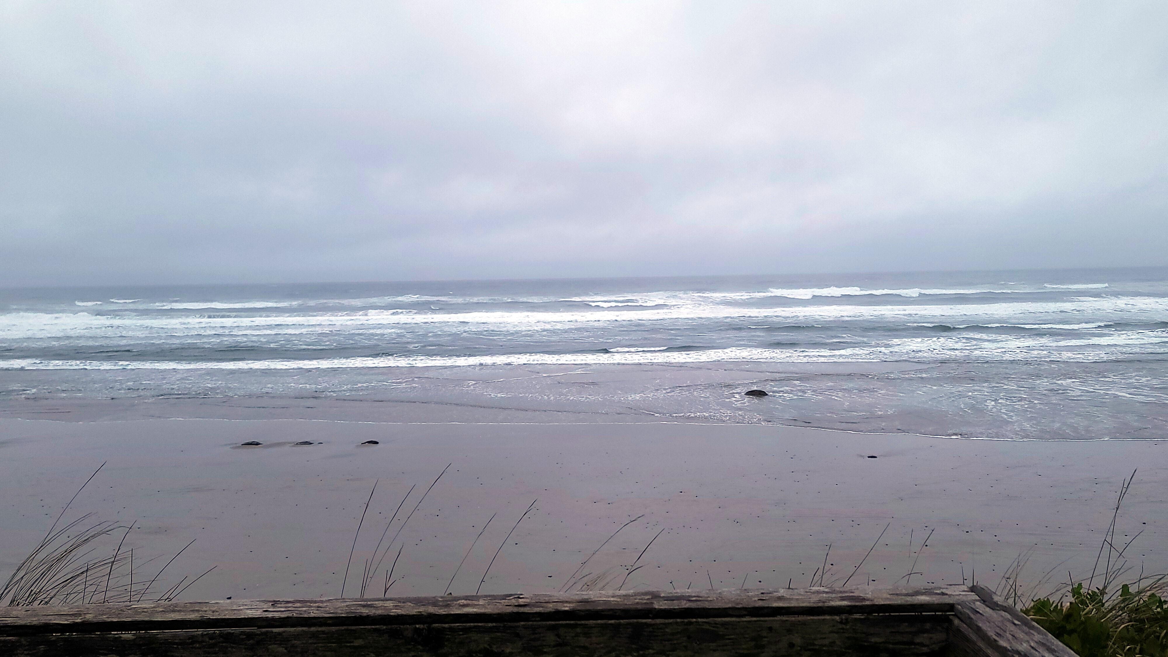 the beach during ebb tide