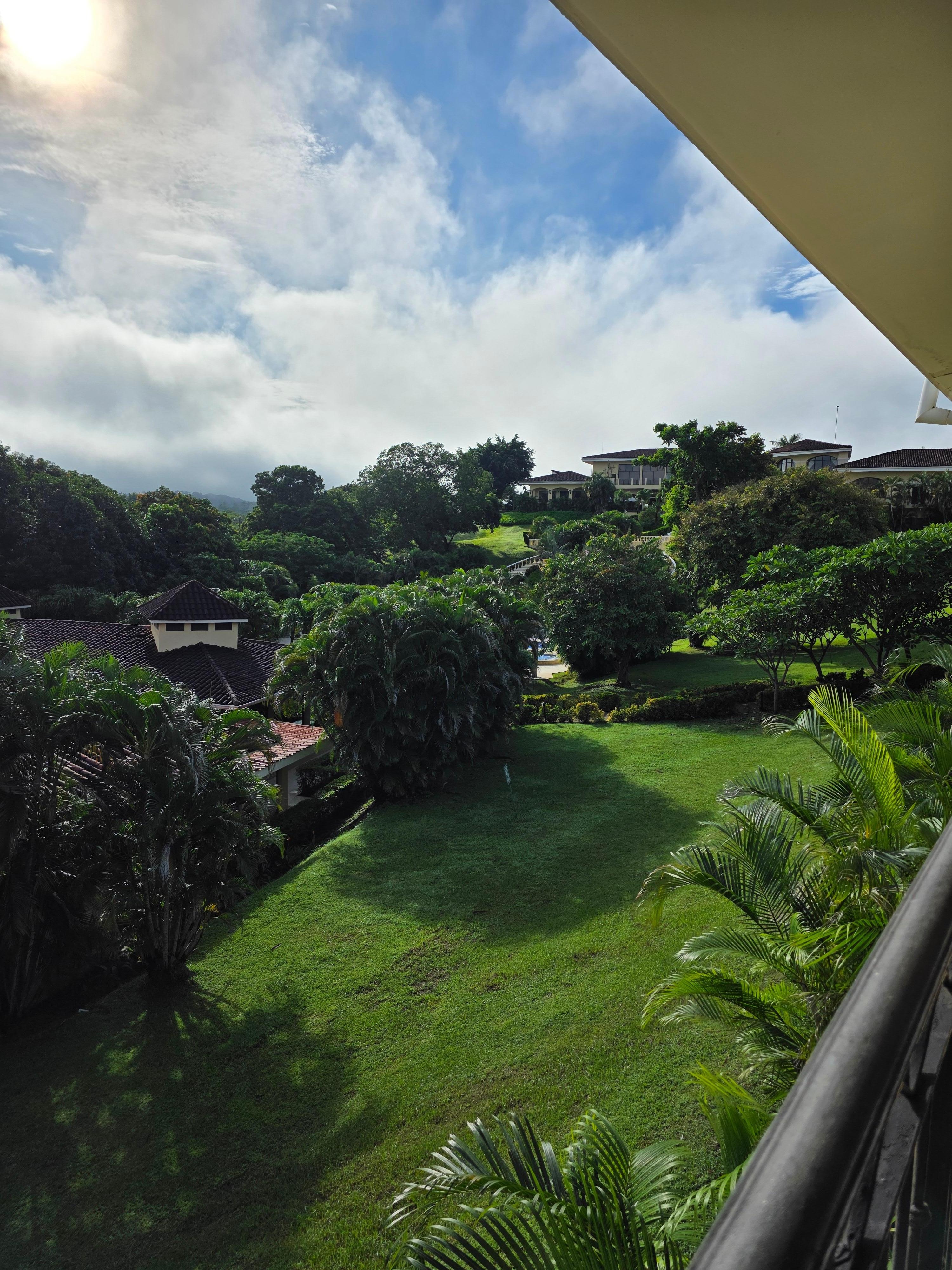 The view from my room 