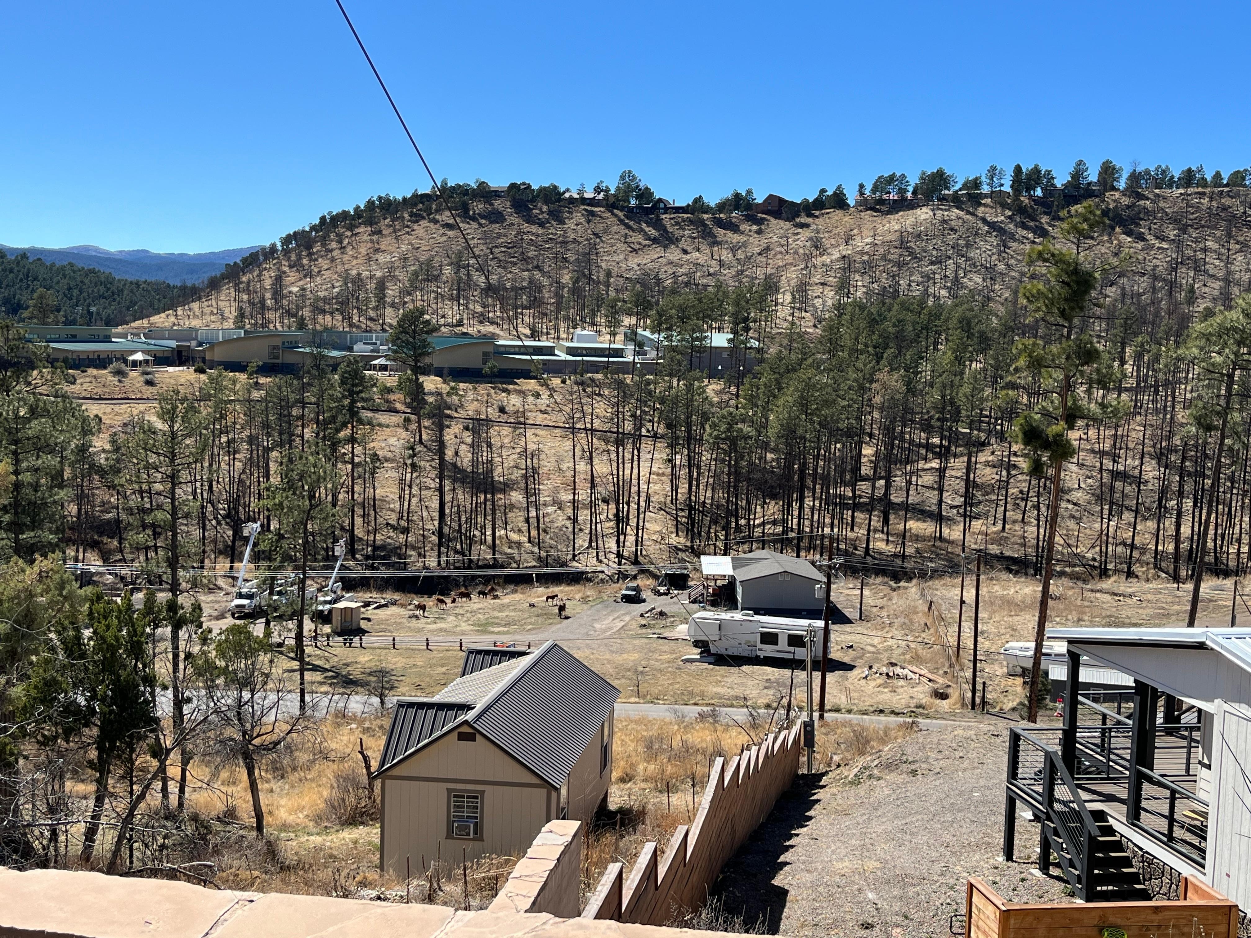 View from property balcony, Ruidoso’s wild horses grazing…!