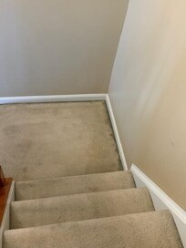 disgusting carpet
