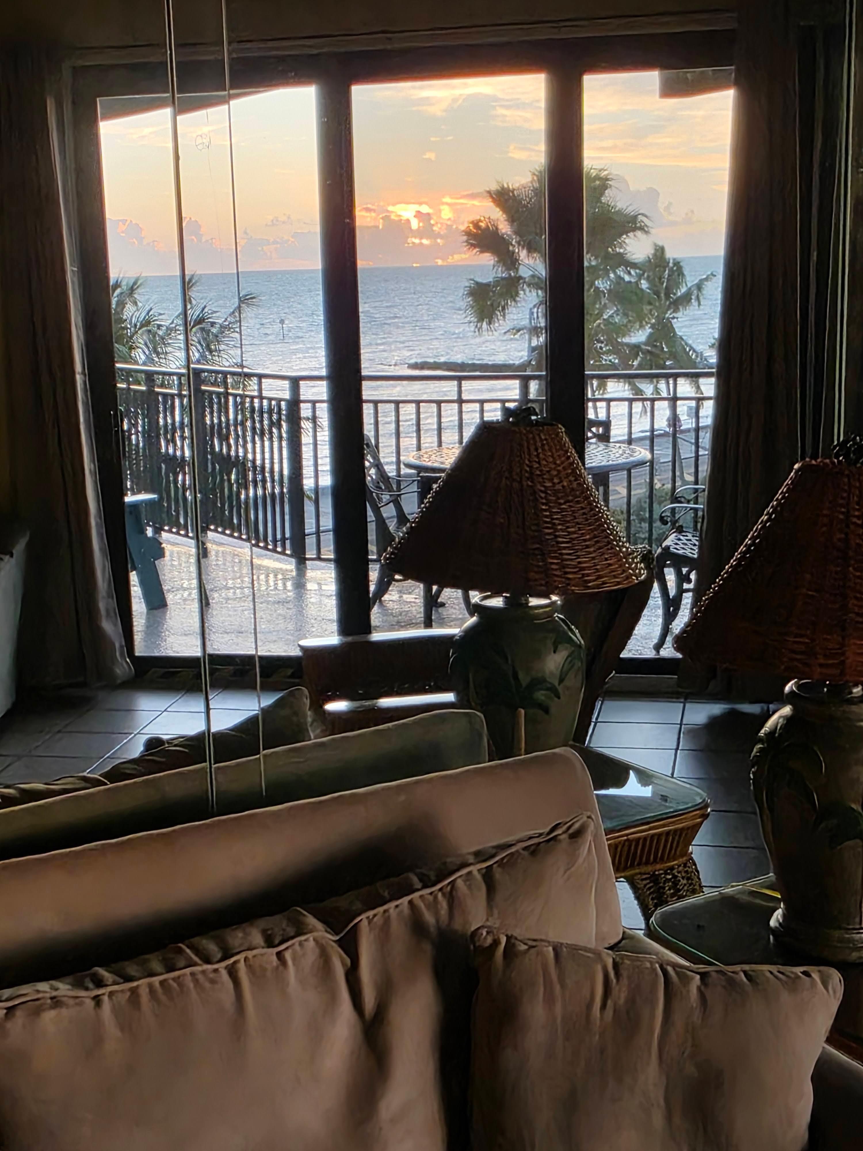 View from the living room