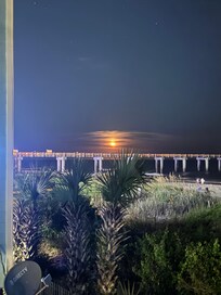 Taken from the back deck