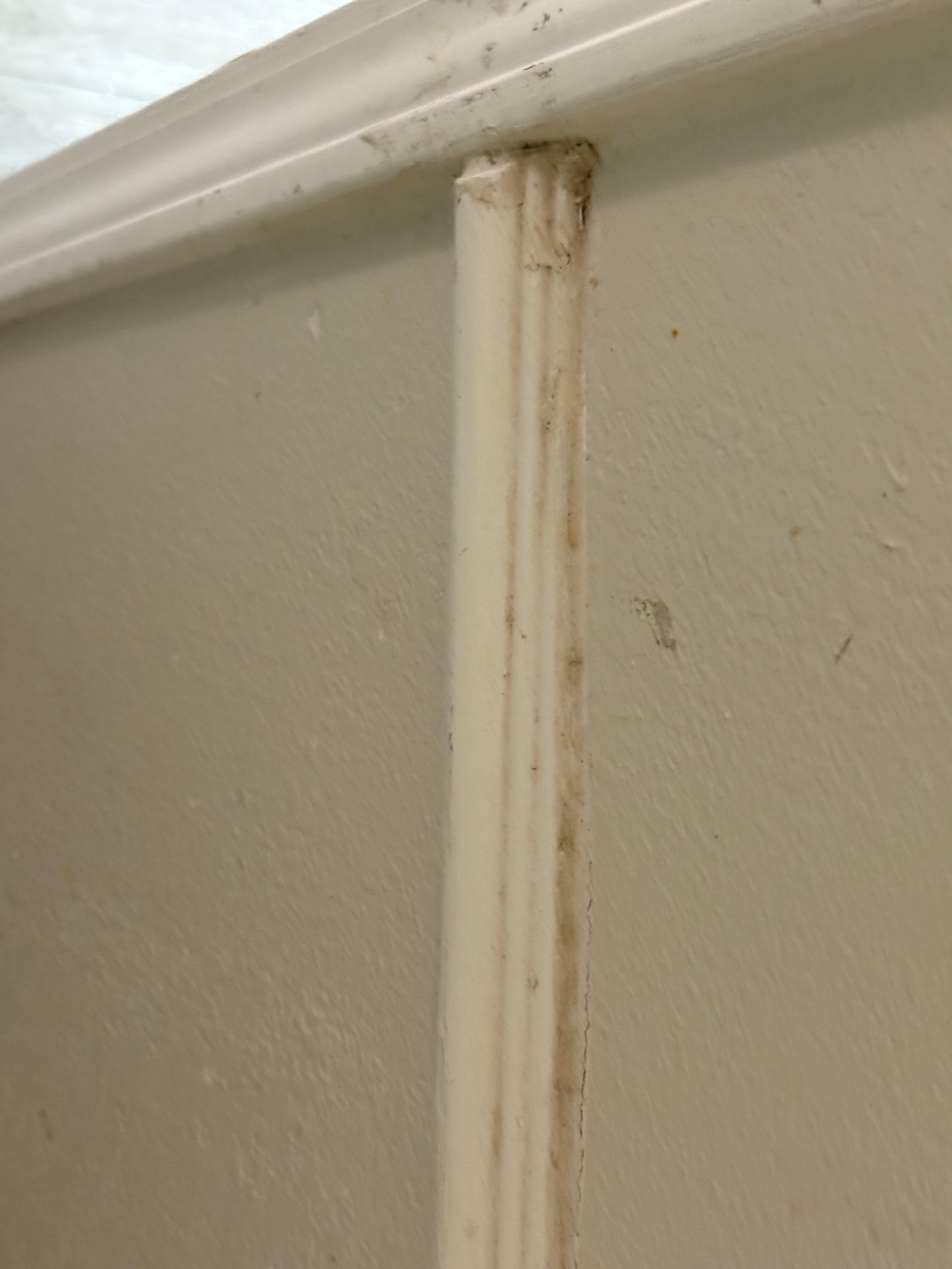 Filthy chair rail