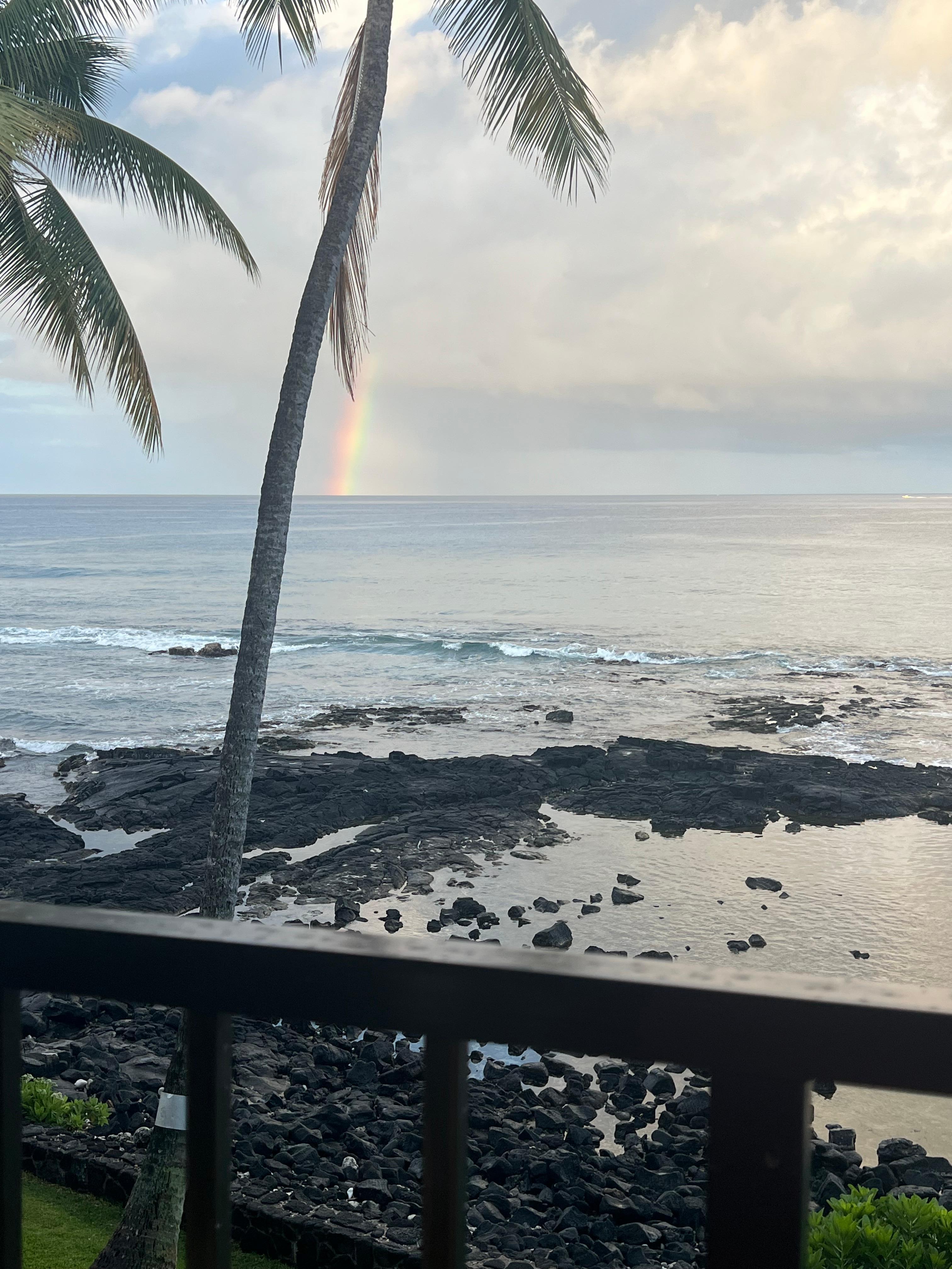 Rainbow on our first morning!