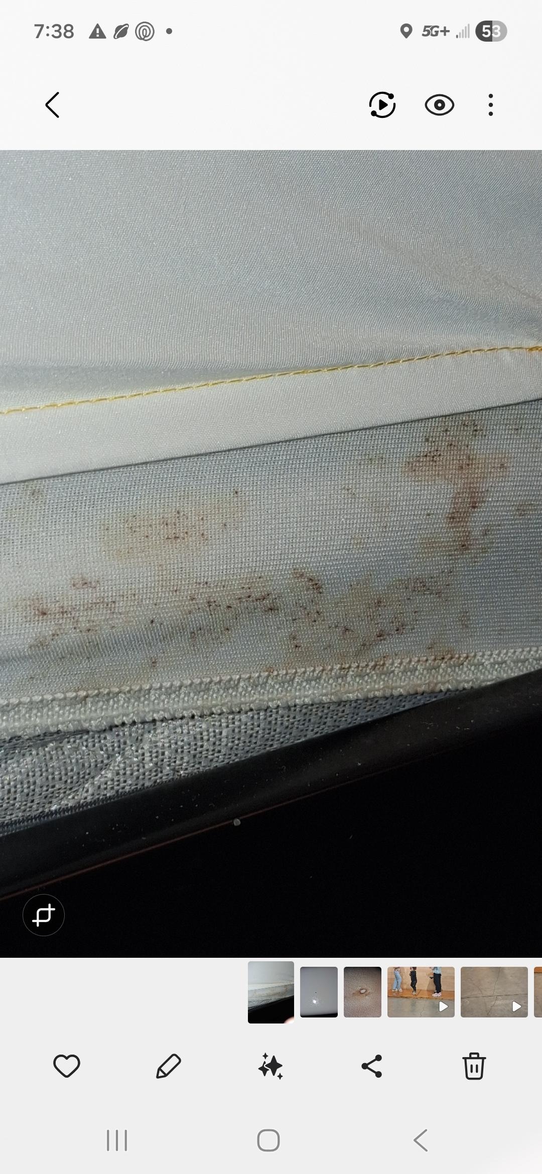 Bed bug poop?
