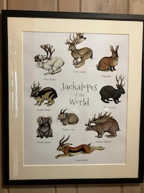 Cute decor made us smile. Coffee even tastes better from jackelope mugs!!!
